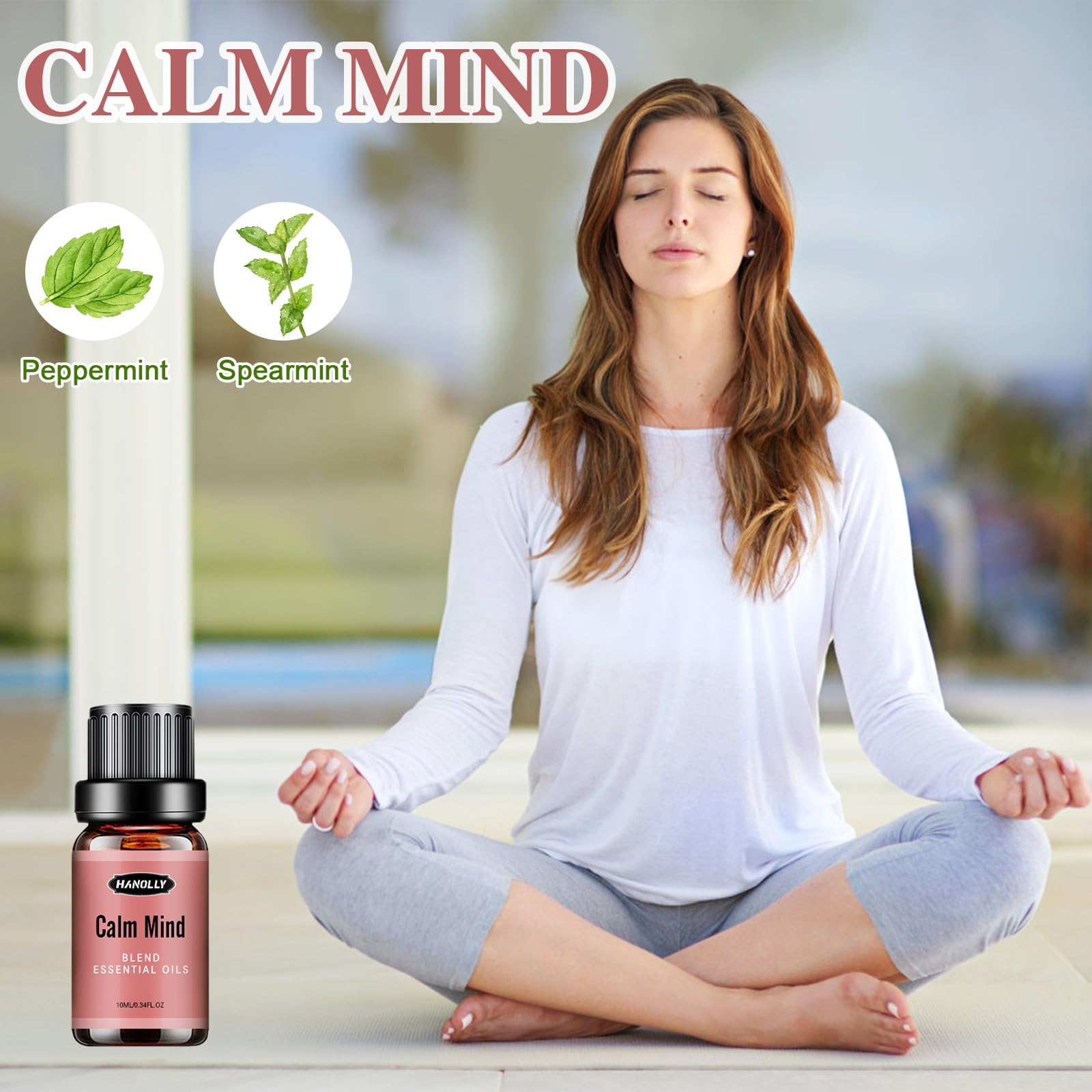 Essential Oils Blend Set, Fragrance Oil Aromatherapy Essential Oils Kit for Diffuser (6x10ML) Hanolly