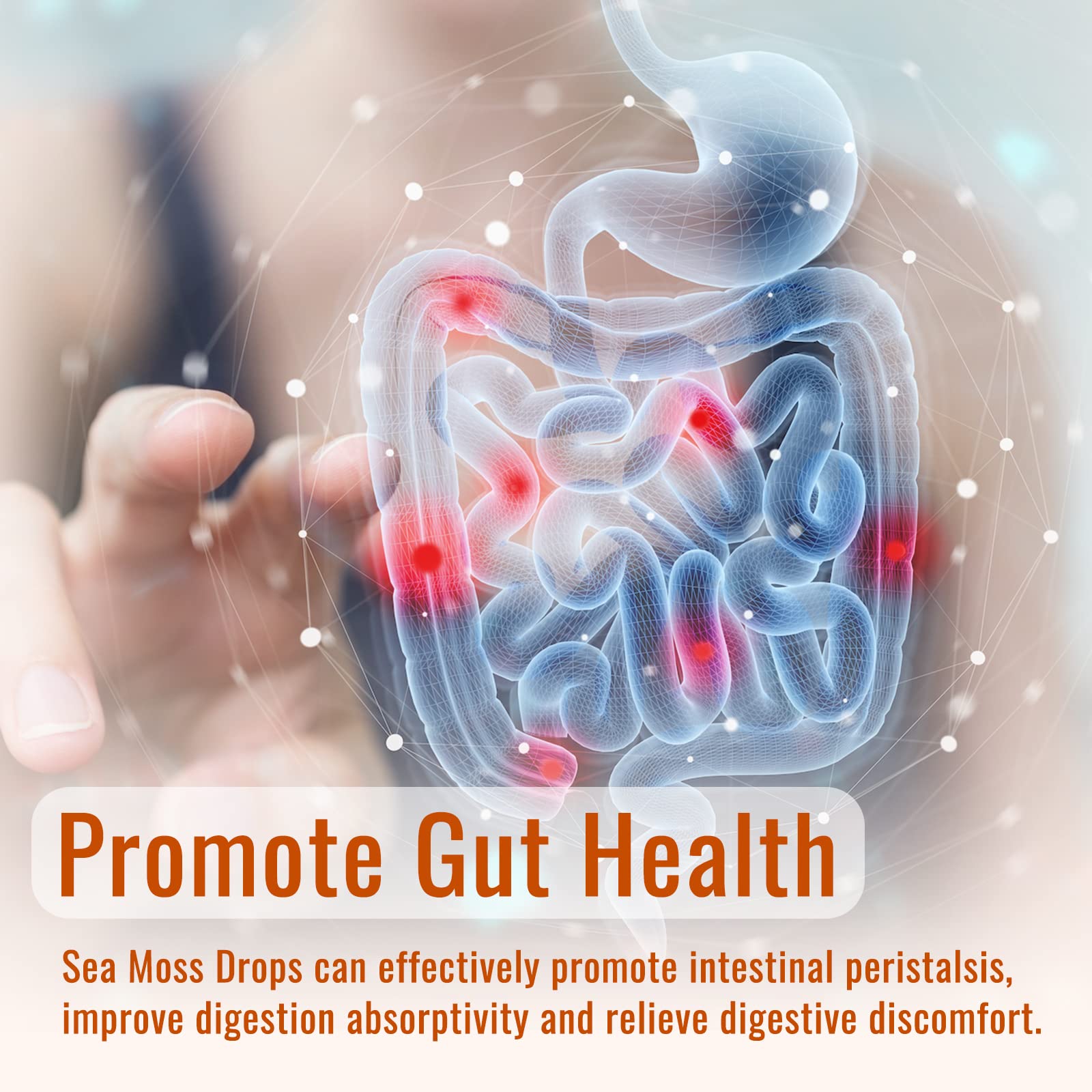 Sea Moss Liquid Drops: Organic Irish Sea Moss 2500mg with Turmeric, Bladderwrack dilib