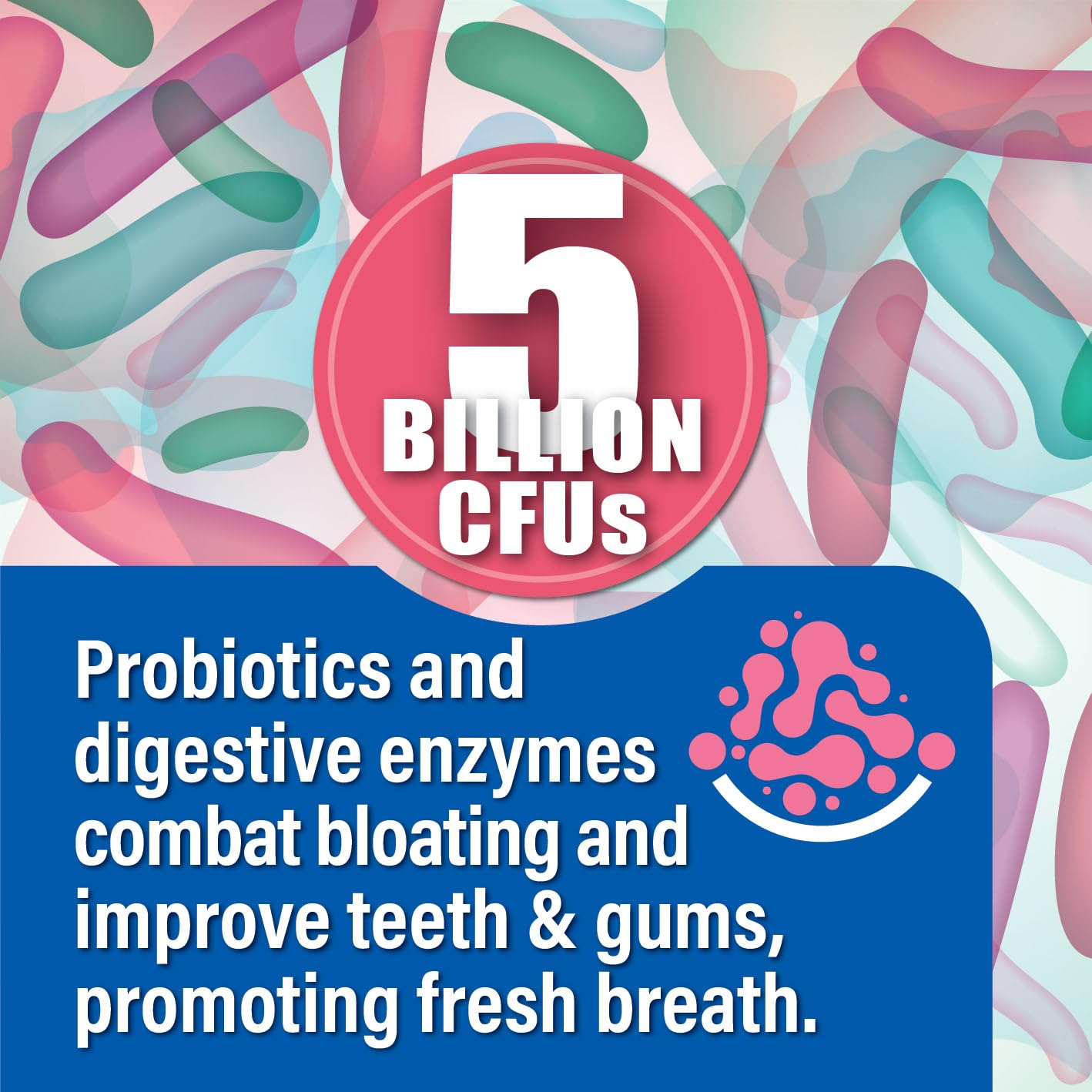 Probiotiv Chewable Probiotics for Daily Bloating w/ 5 Billion CFU – “Two-in-One Combo” Probiotiv