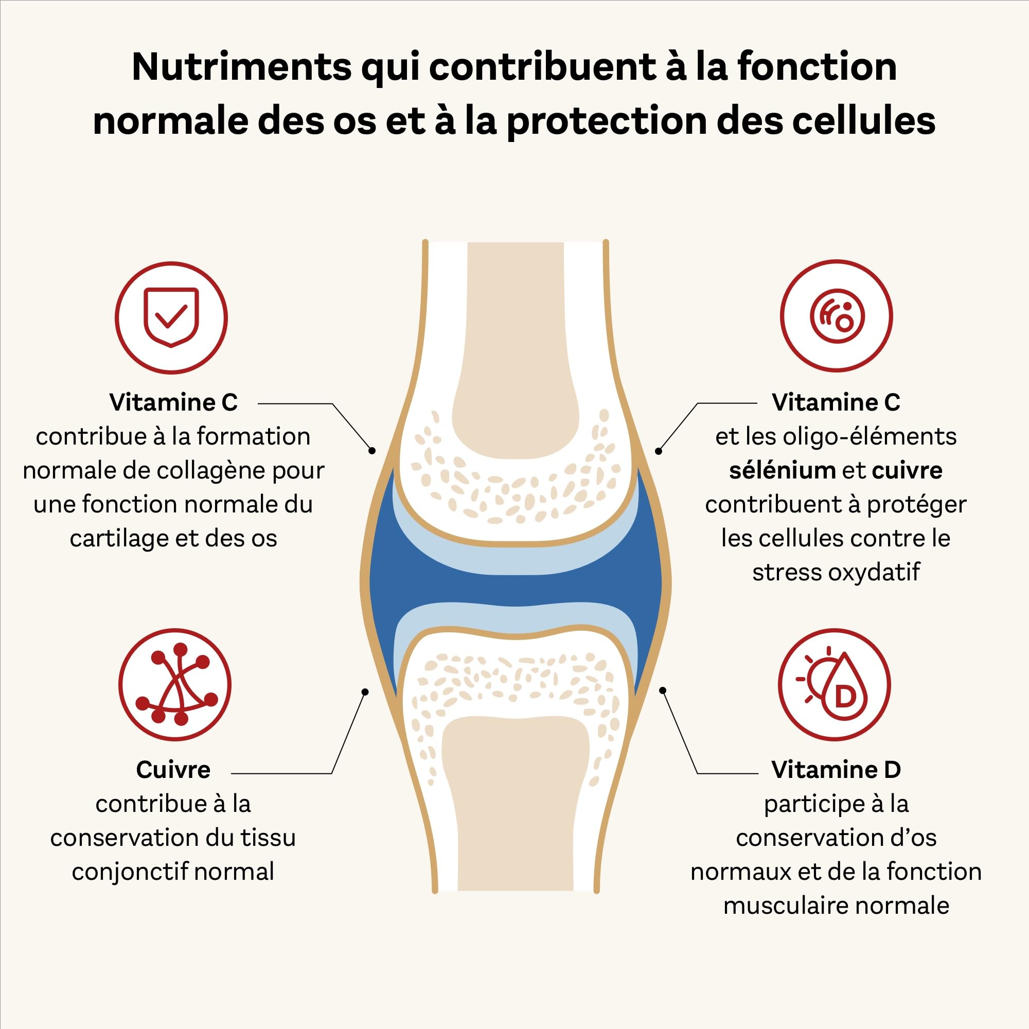 Doppelherz - Kollagen 11000 Plus - Collagen hydrolysate, chondroitin Sulphate, Vitamins C and D and Trace Elements - for Bones, cartilages and tendons - Wild Berry Flavour Liquid- 30 Bottles of 25ml Doppelherz