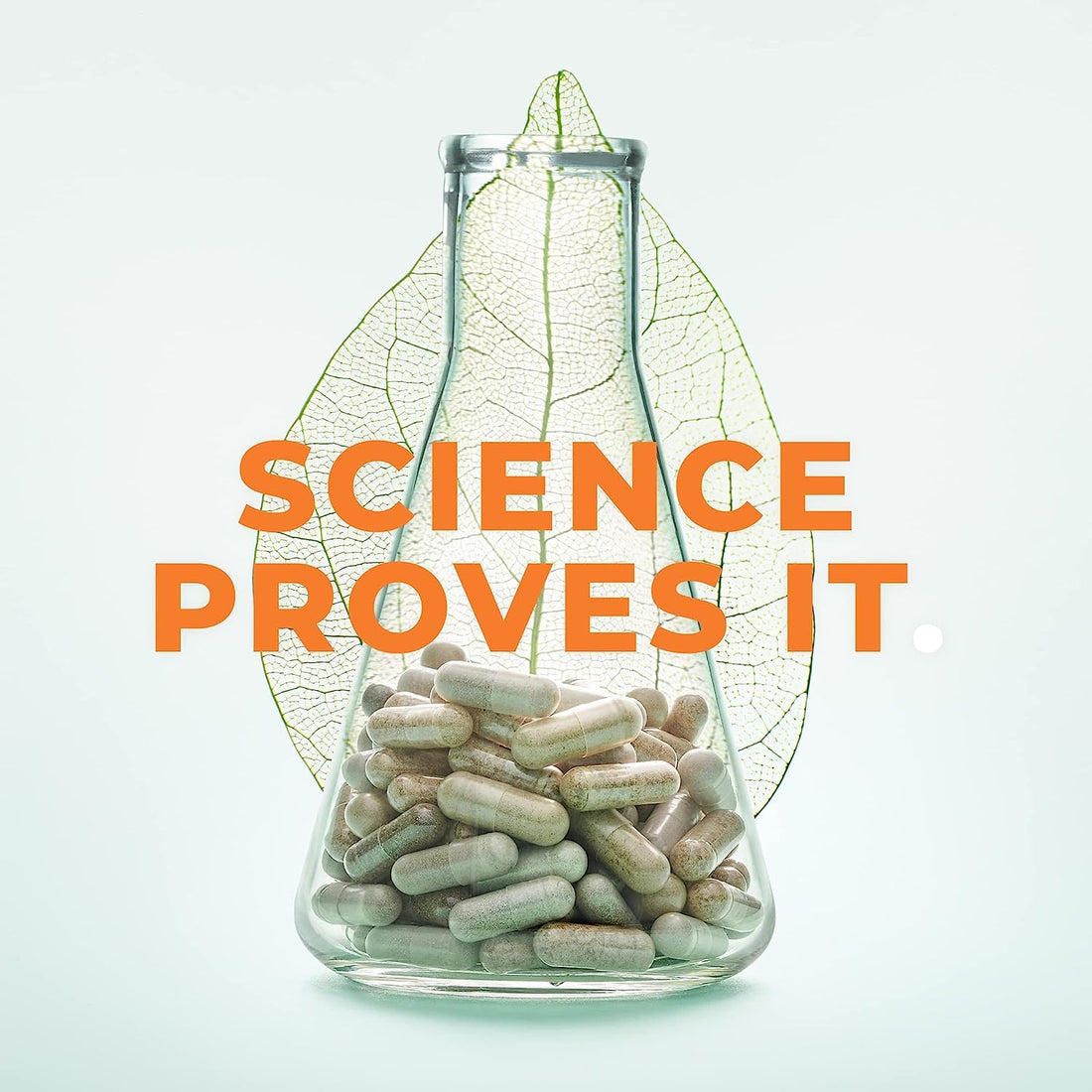 LifeSeasons - Metabolism - Weight Control Support & Energy Boosting Supplement 