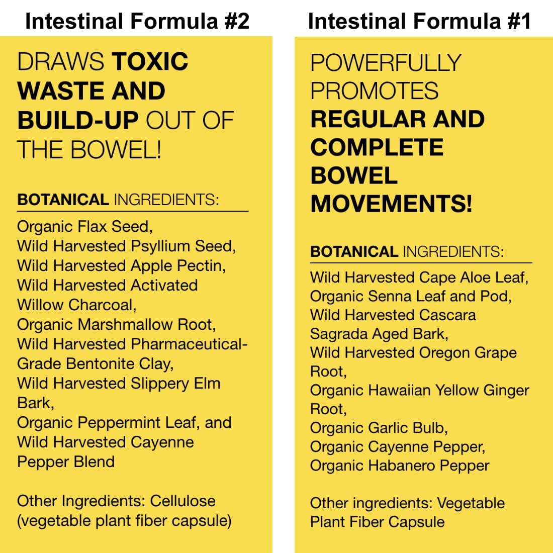 Dr. Schulze's Intestinal Formula #2 (8 Ounces) and Intestinal Formula #1 Capsules Dr. Schulze's