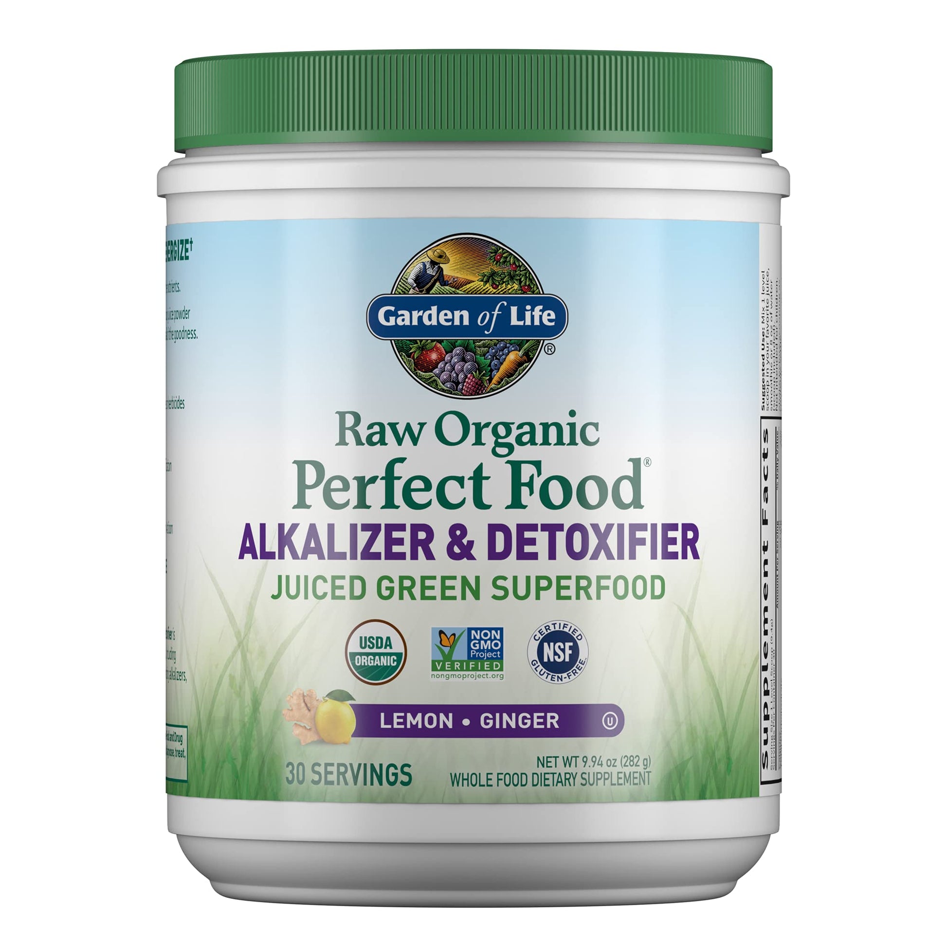 Garden of Life Raw Organic Perfect Food Alkalizer & Detoxifier Juiced Greens Superfood Garden of Life
