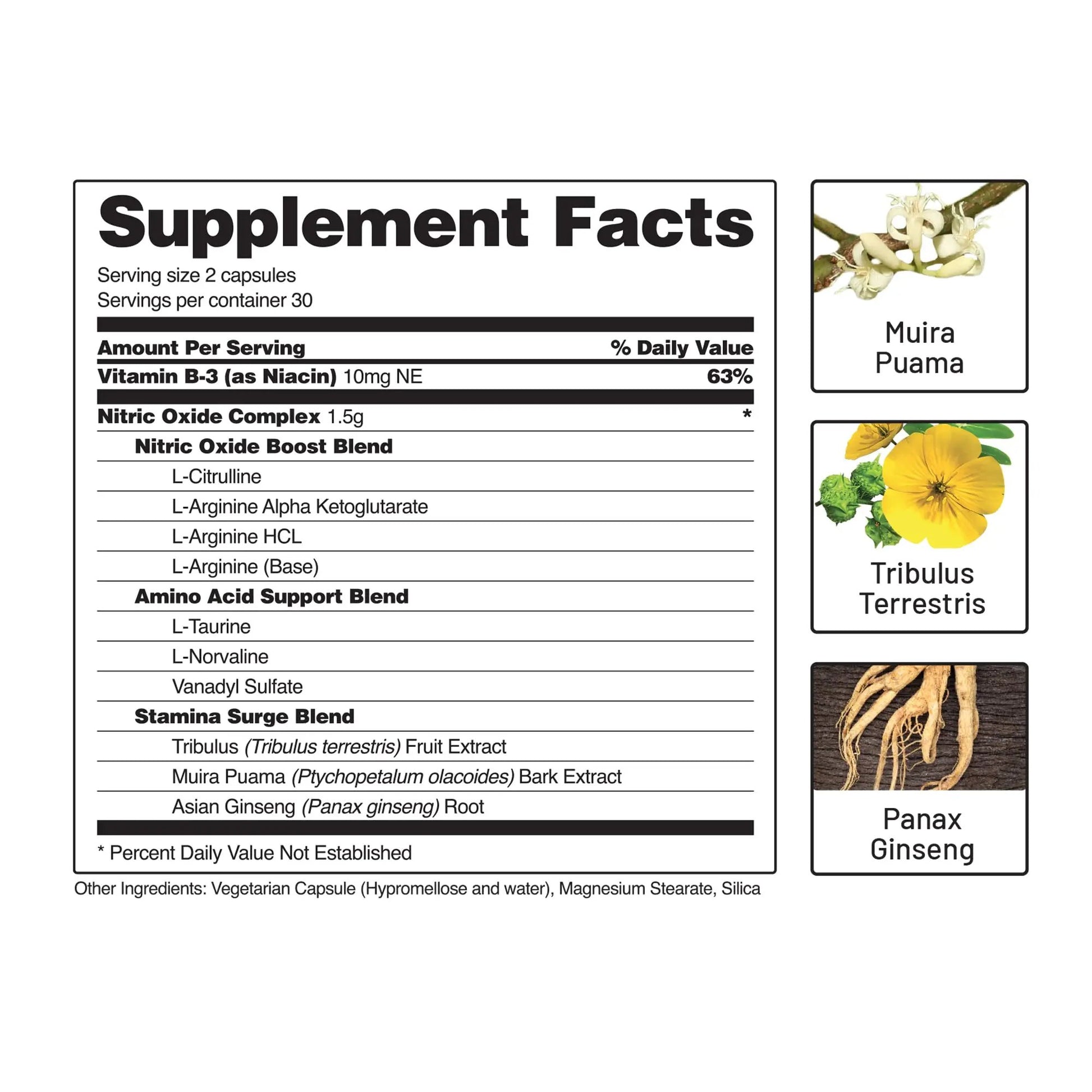 Snap Supplements Nitric Oxide Booster and BCAA Powder