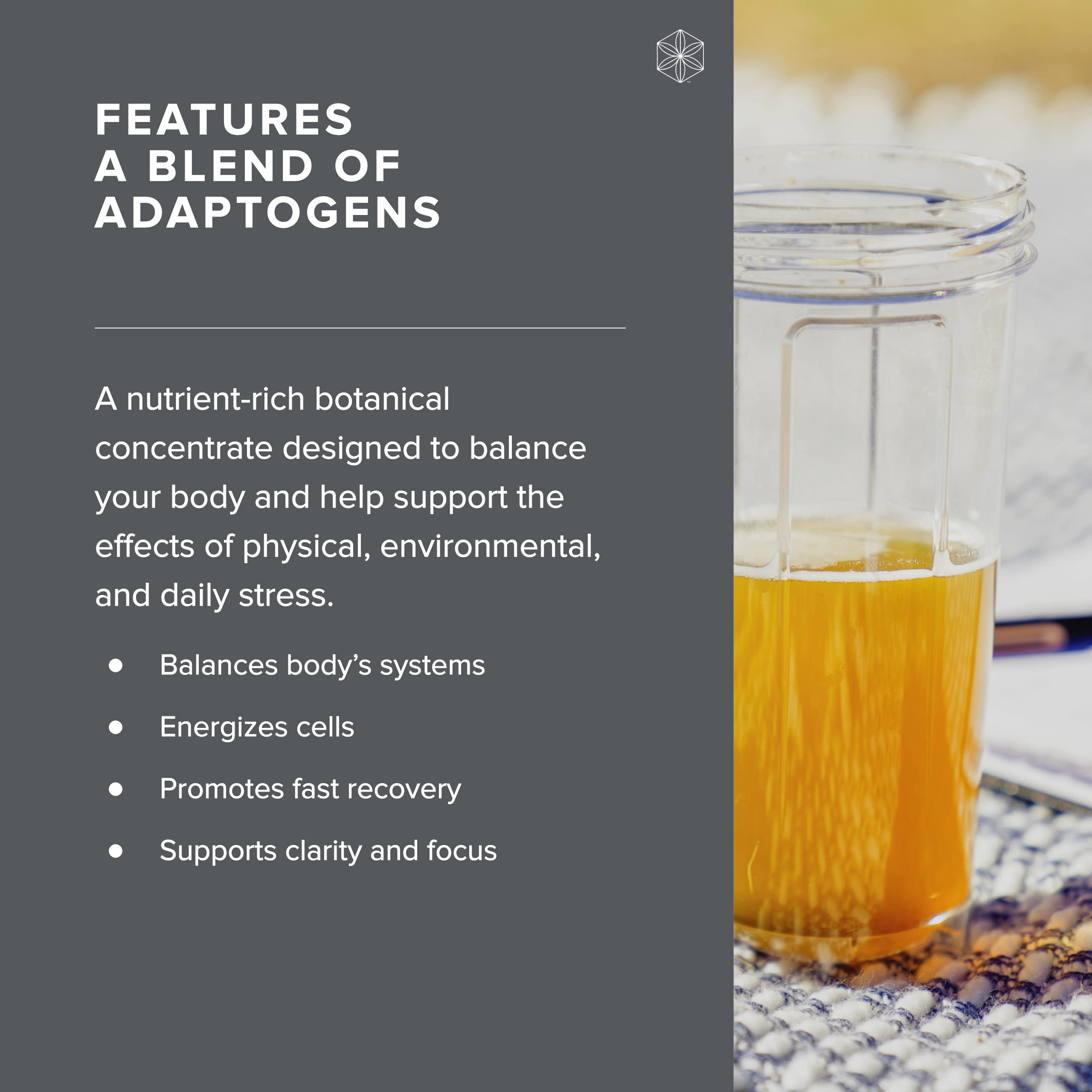 Isagenix Ionix Supreme - Powder Supplement with Vitamin B12 & Niacin - Focus Supplemen Isagenix