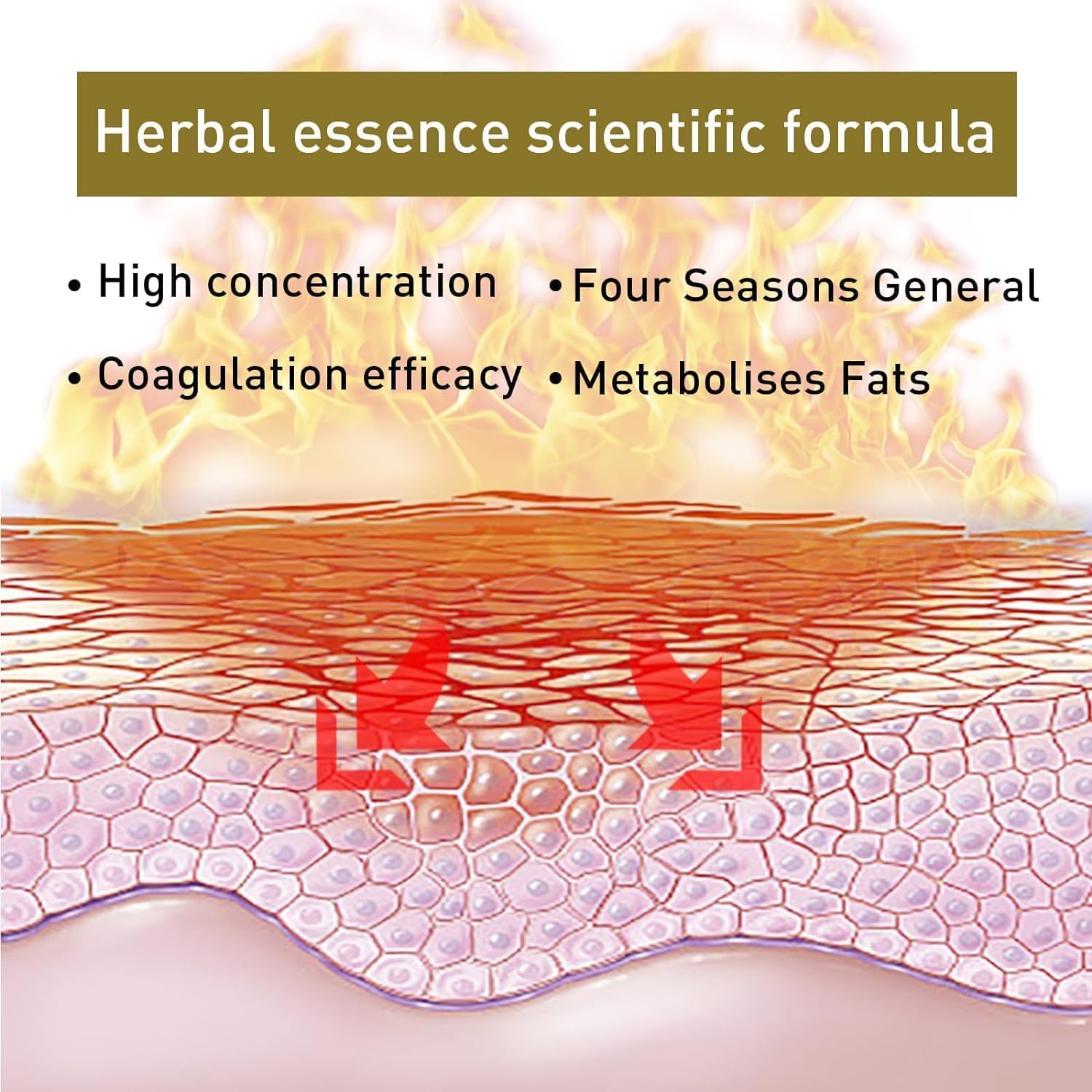 Bee Venom Slimming Nose Ring, Bee Venom Lymphatic Drainage Nose Ring, Bee Venom Lymphatic Vylxtyp