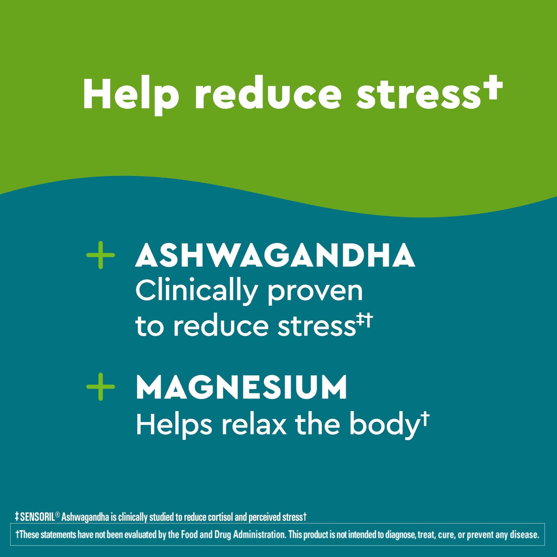 Nature Made Wellblends Calm & Relax, Ashwagandha 125 mg, Magnesium 300 mg Nature Made