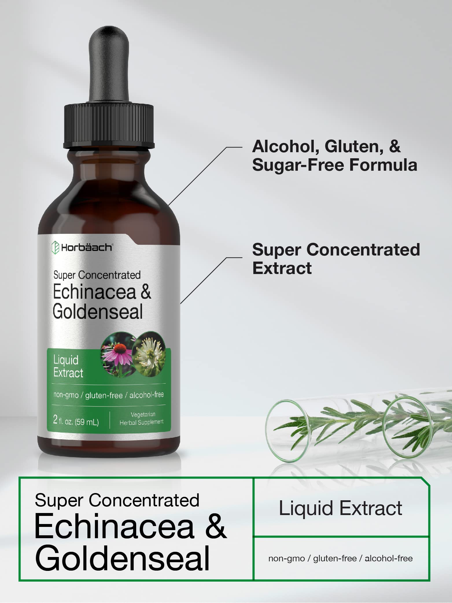 Echinacea Goldenseal Liquid Extract | 2 fl oz | Alcohol Free Tincture Drops | Vegetarian Horbäach