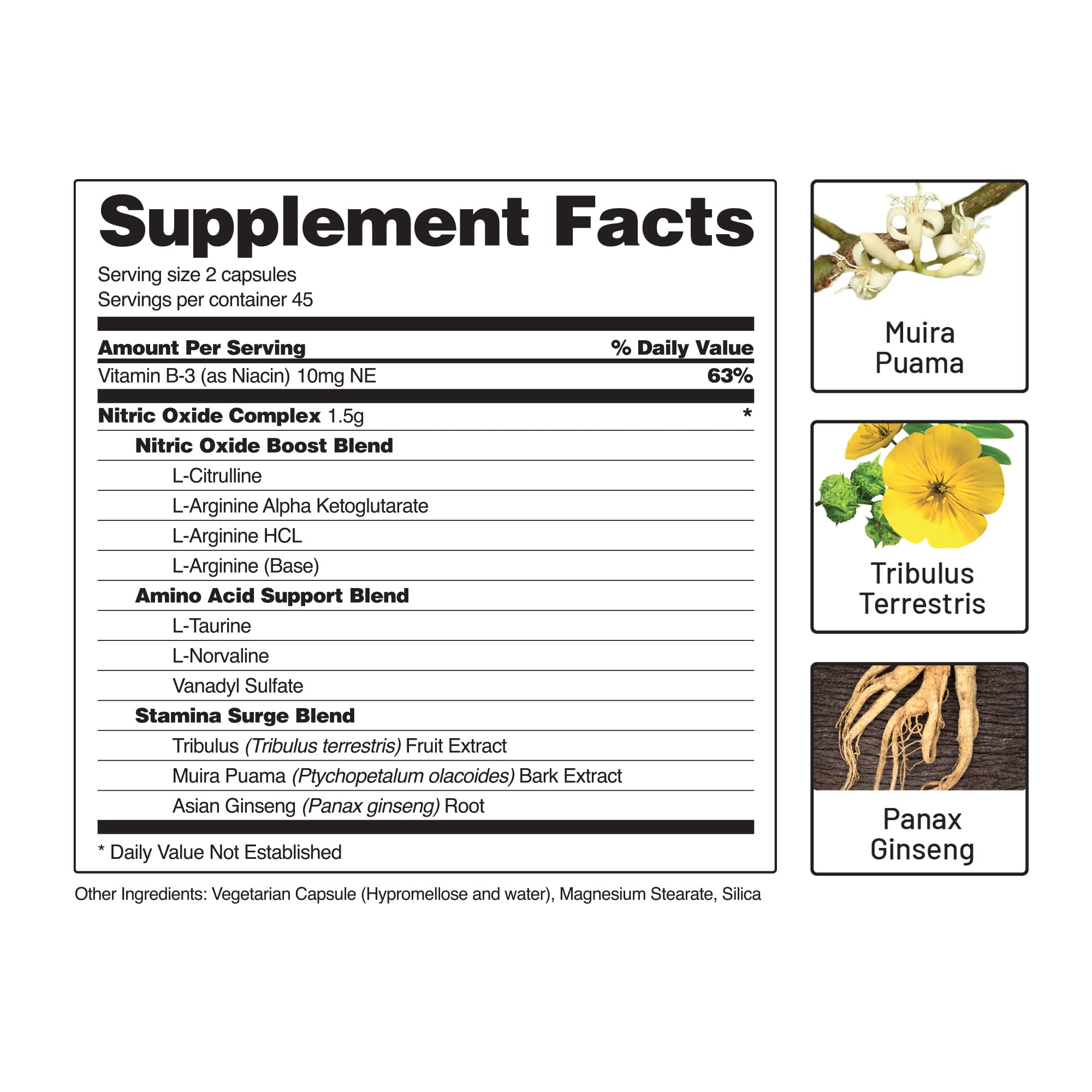 Snap Supplements Nitric Oxide Booster, Nitric Oxide Supplement for Blood Circulation Snap Supplements