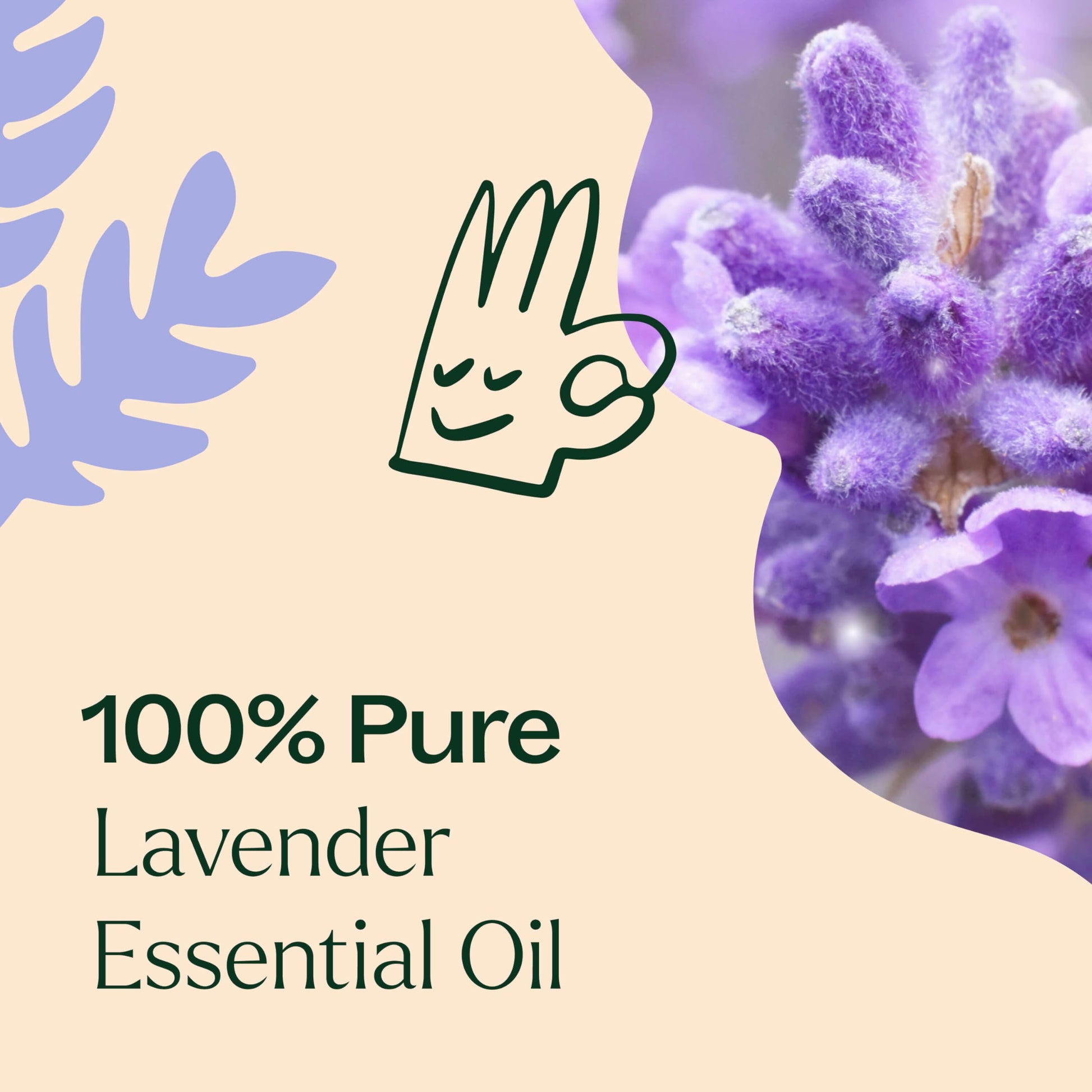 Plant Therapy Lavender Essential Oil 100% Pure, Undiluted, Therapeutic Grade, Aromatherapy Diffuser Plant Therapy