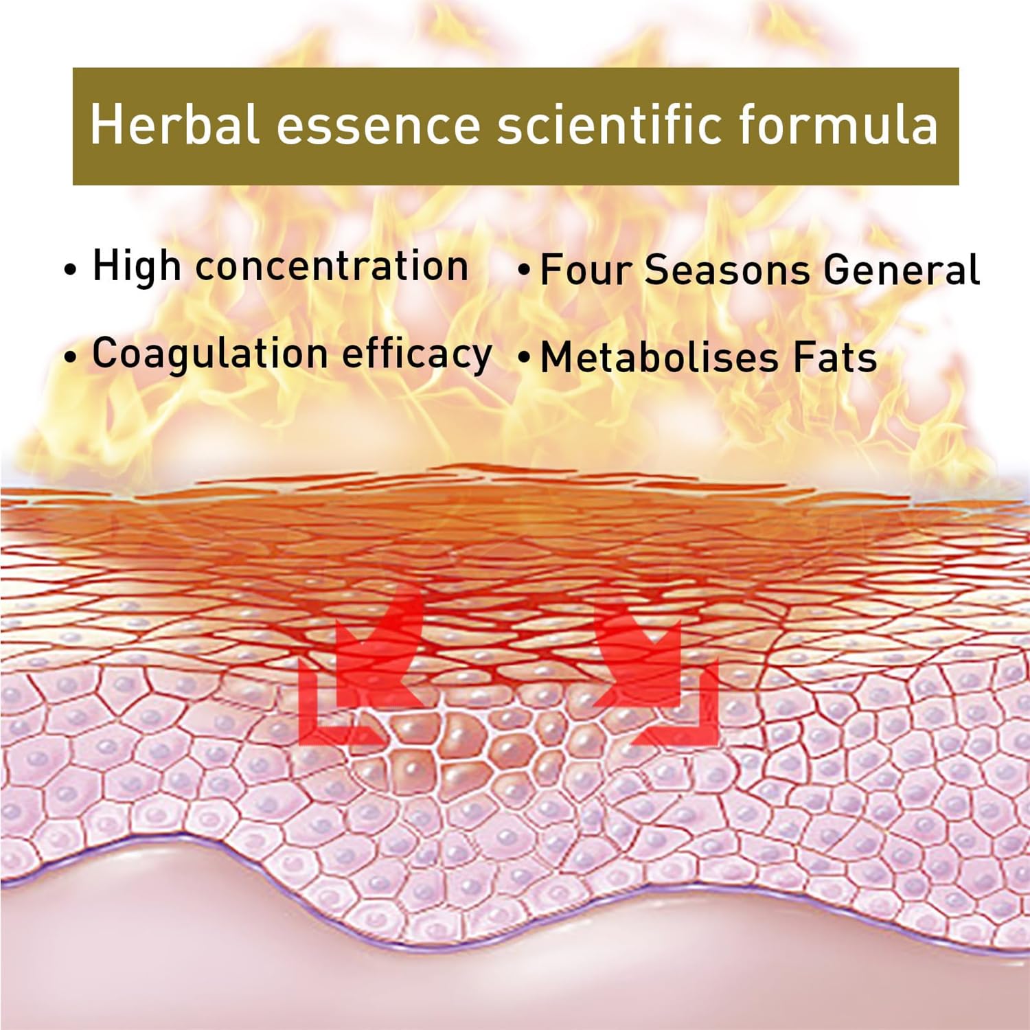 Bee Venom Slimming Nose Ring GGPM Bee Venom Lymphatic Drainage & Slimming Nose Ring Bee Generic