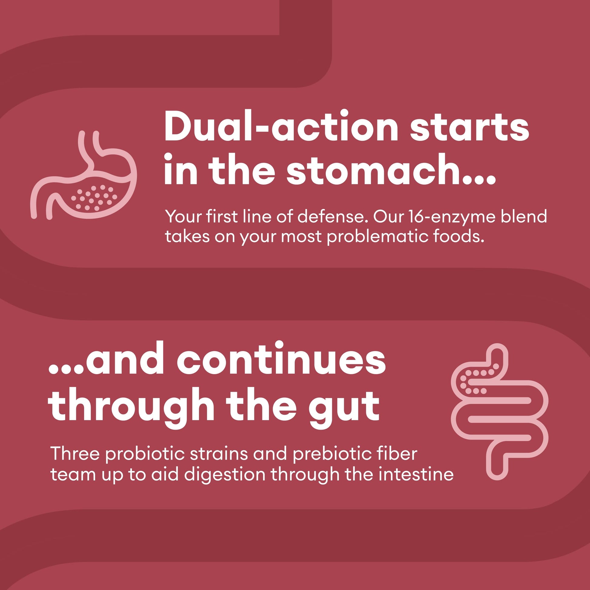 Physician's CHOICE Digestive Enzymes - Multi Enzymes, Organic Prebiotics & Probiotics Physician's CHOICE