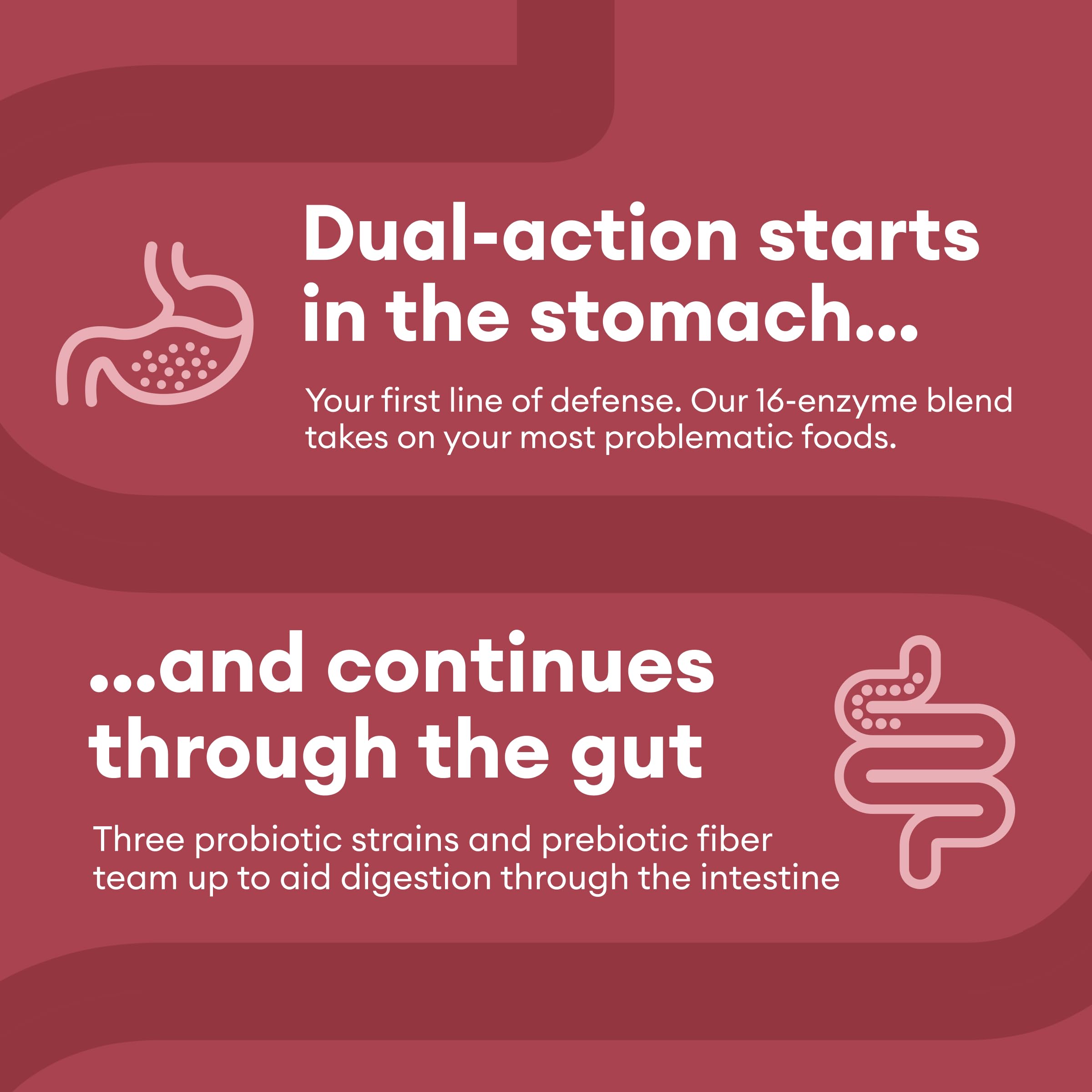 Physician's CHOICE Digestive Enzymes - Multi Enzymes, Organic Prebiotics & Probiotics Physician's CHOICE