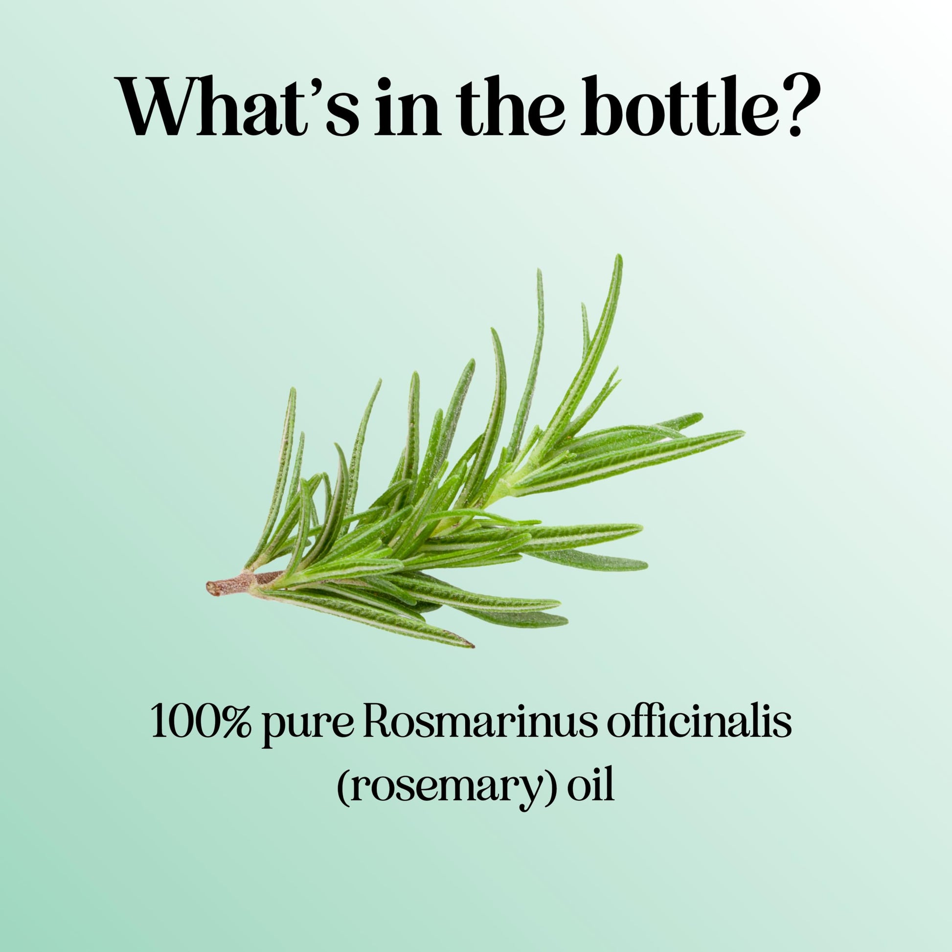 Pure Rosemary Essential Oil for Aromatherapy - Pure Rosemary Oil for Hair Skin and Nails Maple Holistics