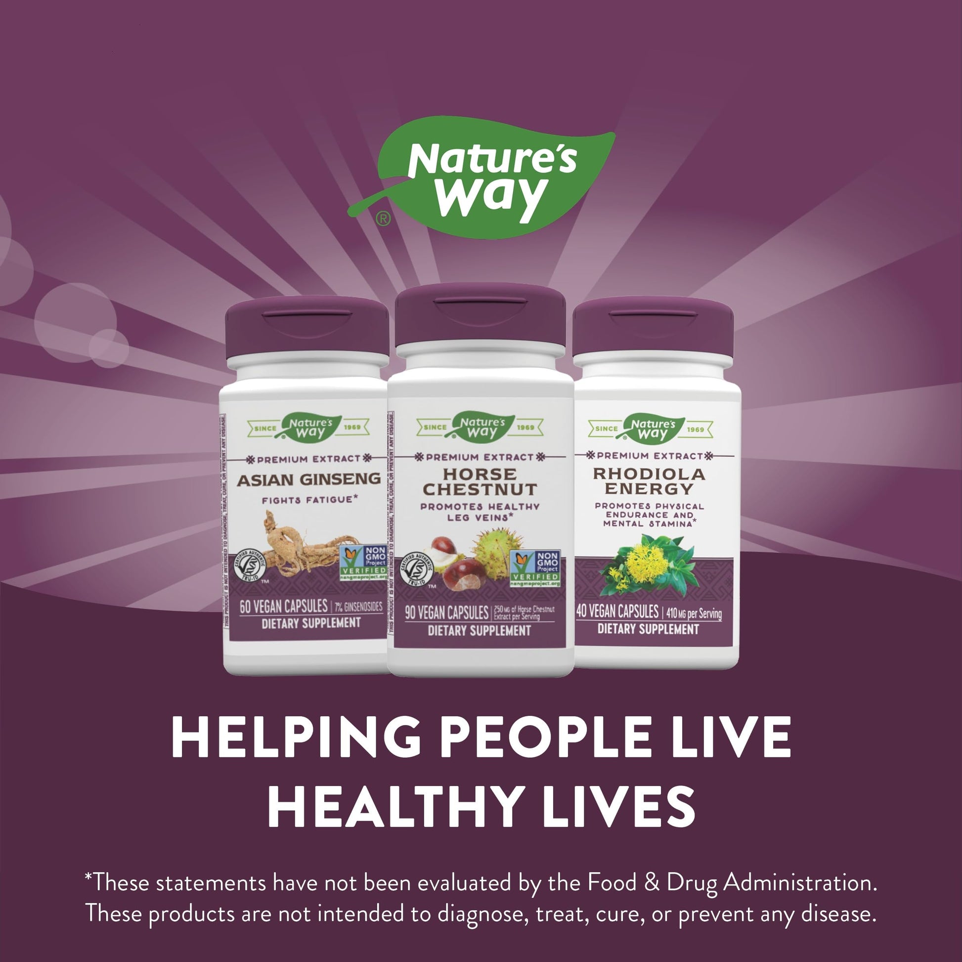 Nature's Way Standardized Horse Chestnut, Premium Extract for Healthy Veins and Blood Nature's Way