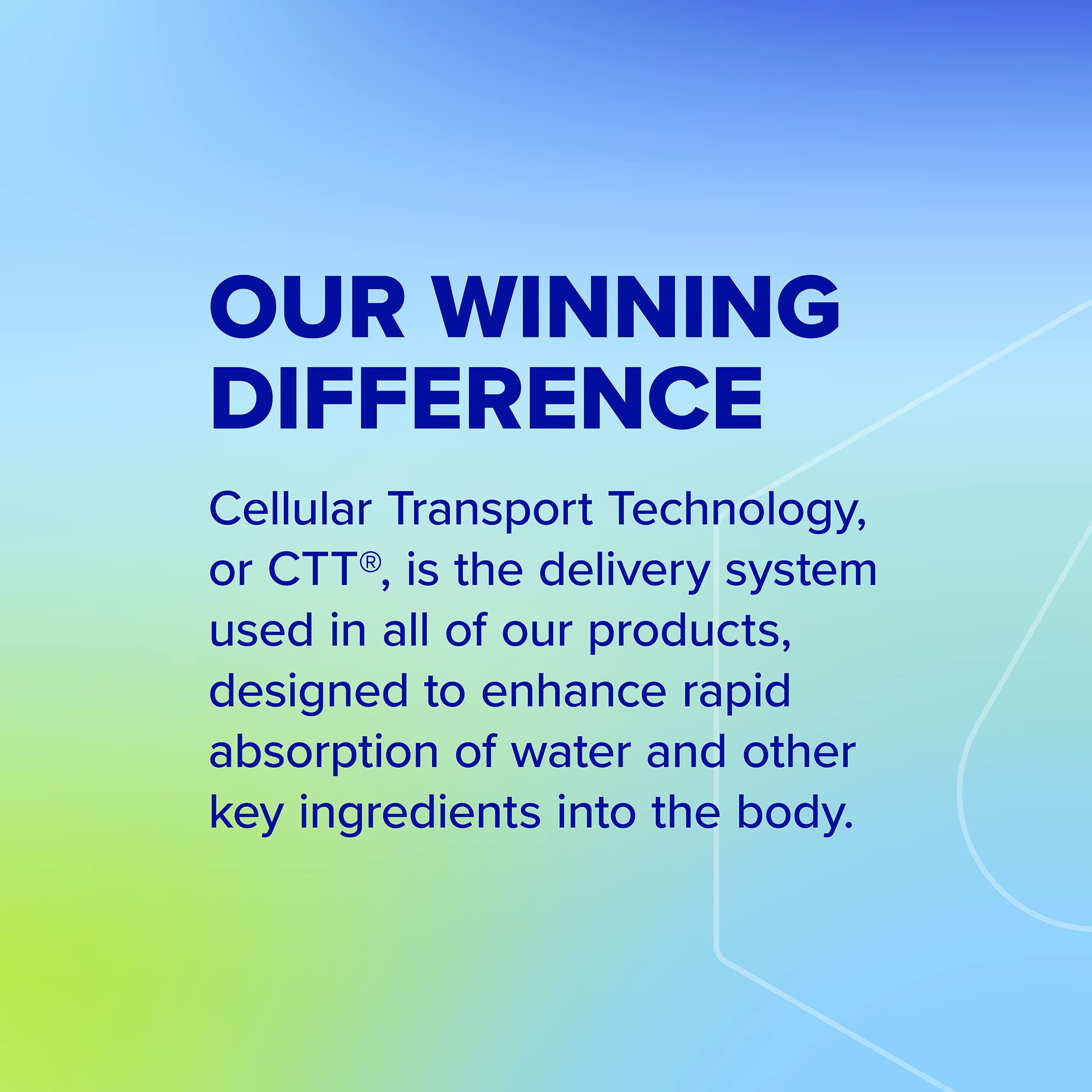 Liquid I.V. Hydration Multiplier + Probiotic Kombucha - Tart Green Apple - Hydration Powder Liquid I.V.