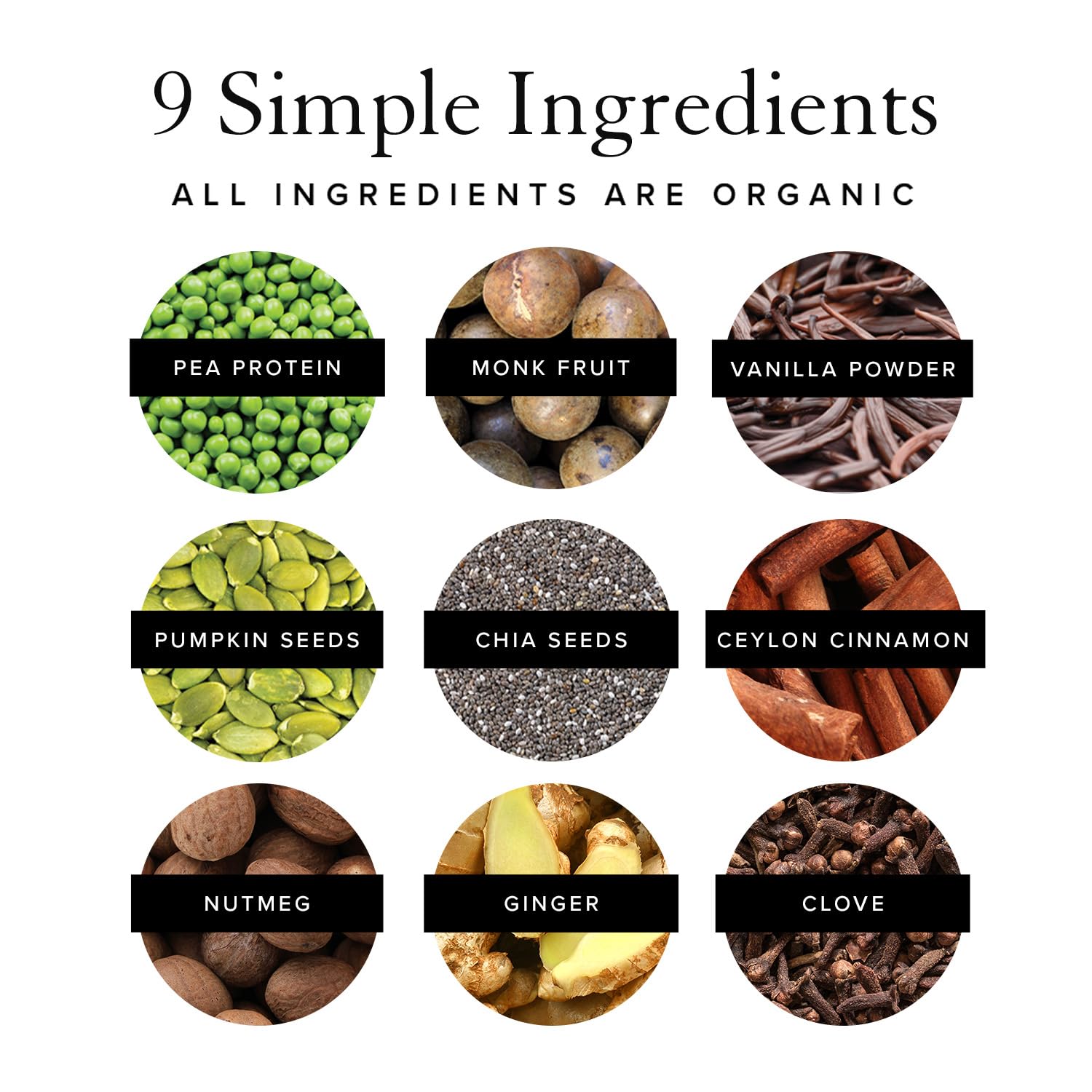 Truvani Organic Vegan Protein Powder Pumpkin Spice - 20g of Plant Based Protein Truvani