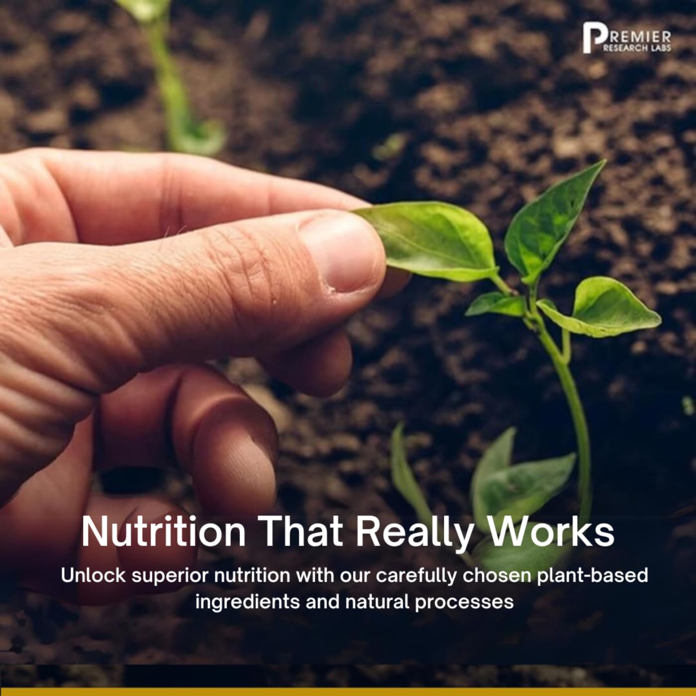 Premier Research Labs Fem Balance-FX - Supports Menstrual Cycles & Regularity - with Chaste Tree Fruit Premier Research Labs