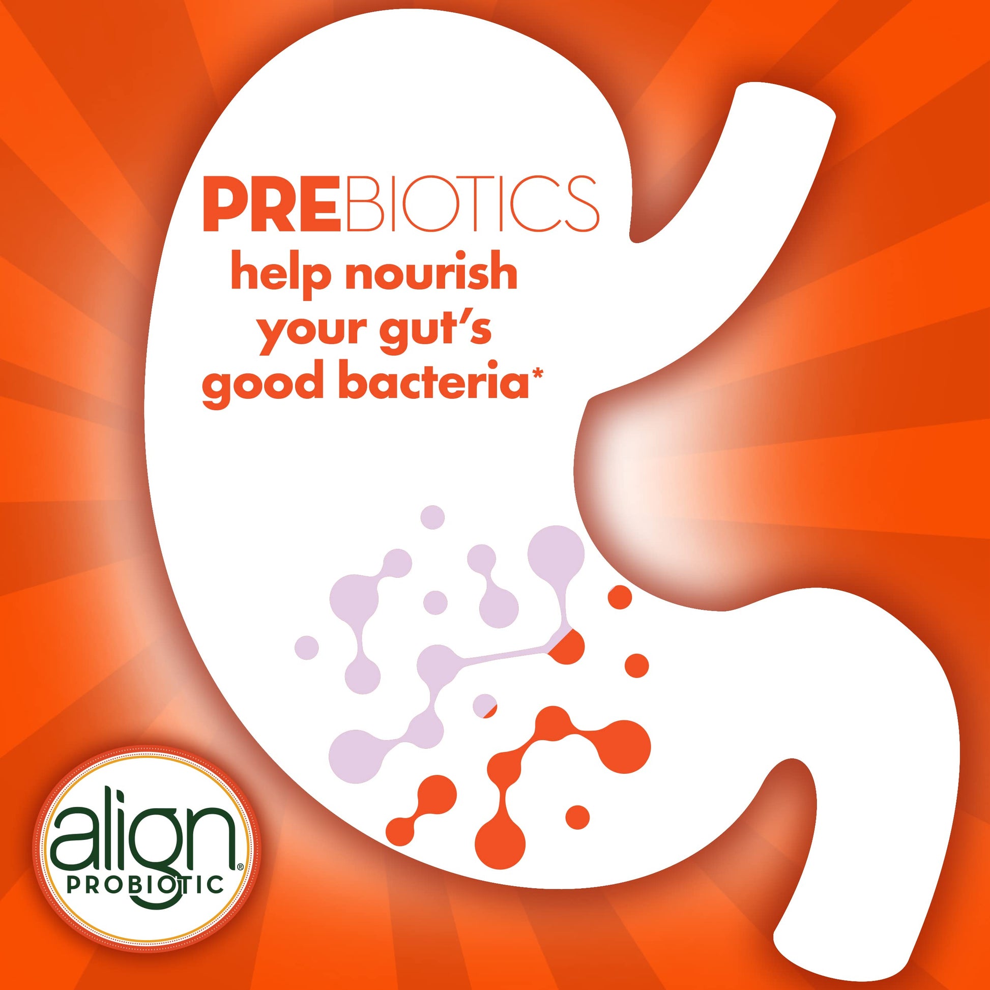 Align Digestive Health Prebiotic + Probiotic Supplement Gummies in Natural Fruit Flavors Align