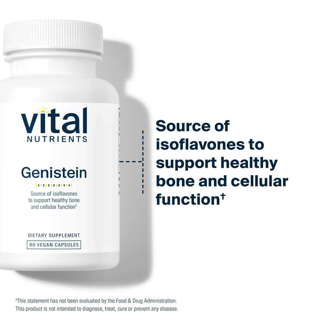 Vital Nutrients Genistein | Easily Absorbed Isoflavones for Bone Health Support