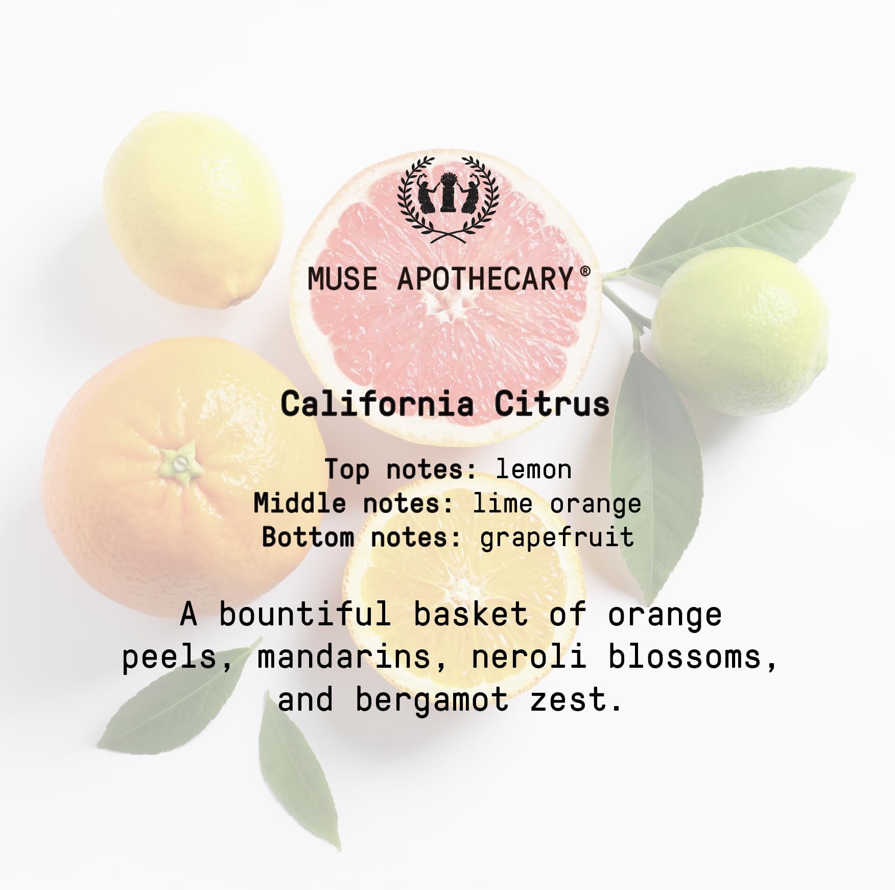 Muse Bath Apothecary Room Ritual - Aromatic and Relaxing Room Mist, 8 oz, Infused Muse Apothecary