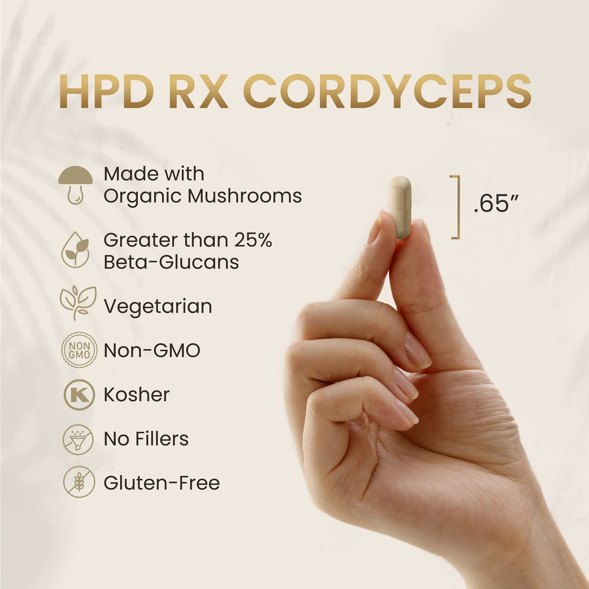 HPD Rx Premium Organic Cordyceps Mushroom Extract Performance , Pack of 2 HPD Rx