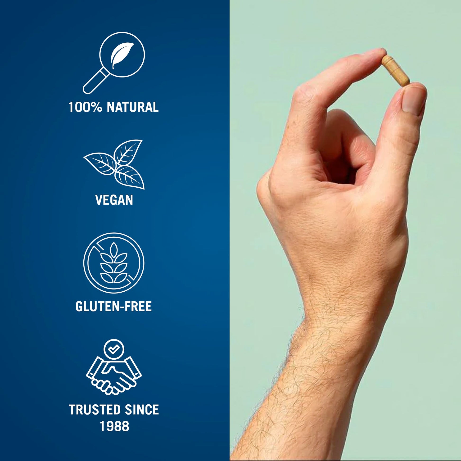 Century Systems The Cleaner Detox, Powerful 7-Day Complete Internal Cleansing Formula Century Systems