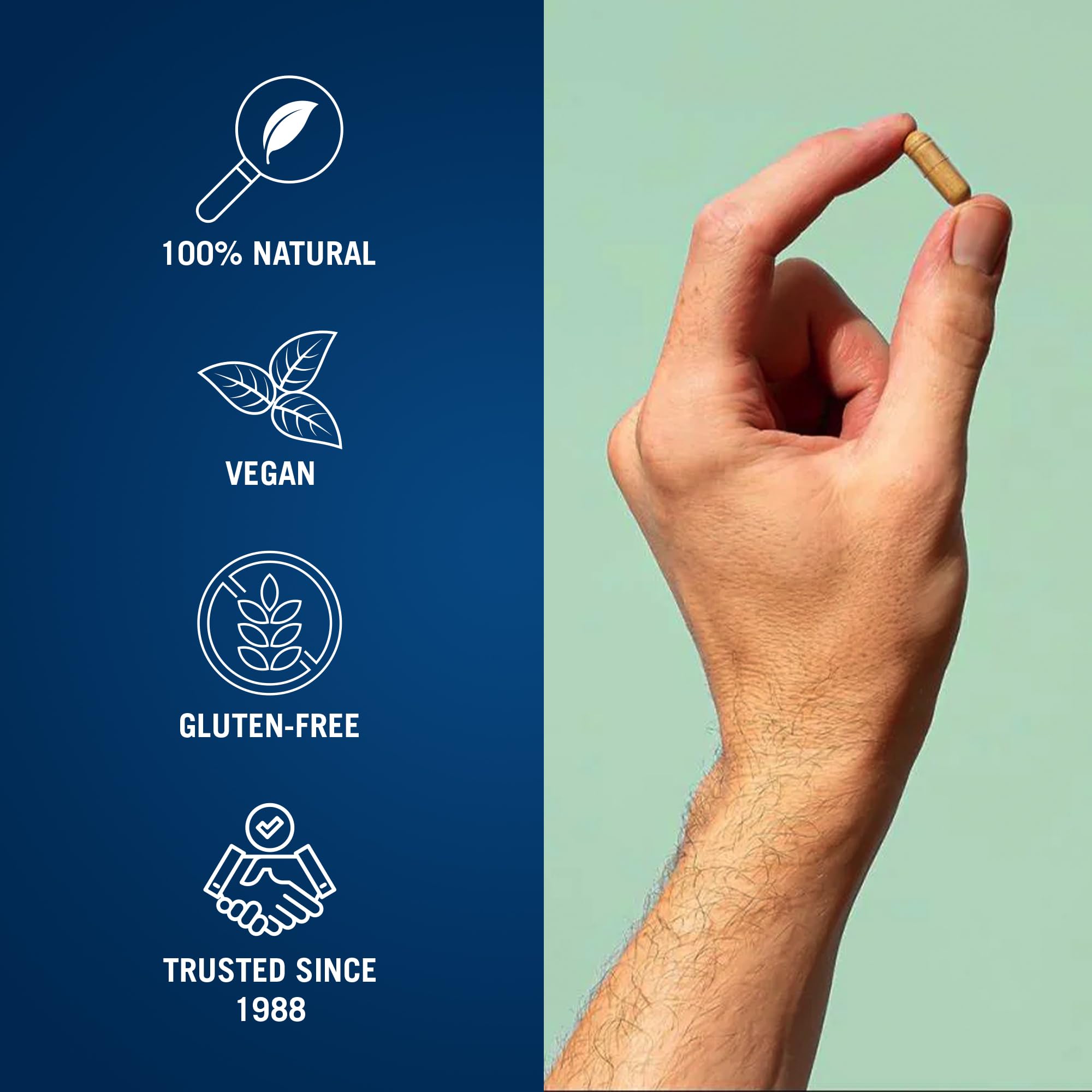 Century Systems The Cleaner Detox, Powerful 7-Day Complete Internal Cleansing Formula Century Systems