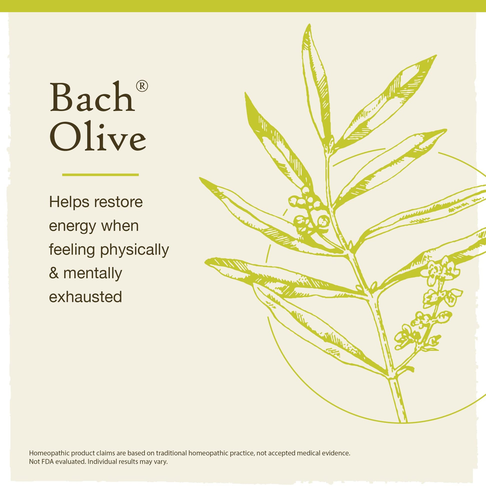 Bach Original Flower Remedies, Olive for Energy (Non-Alcohol Formula), Natural Homeopathic Flower Bach