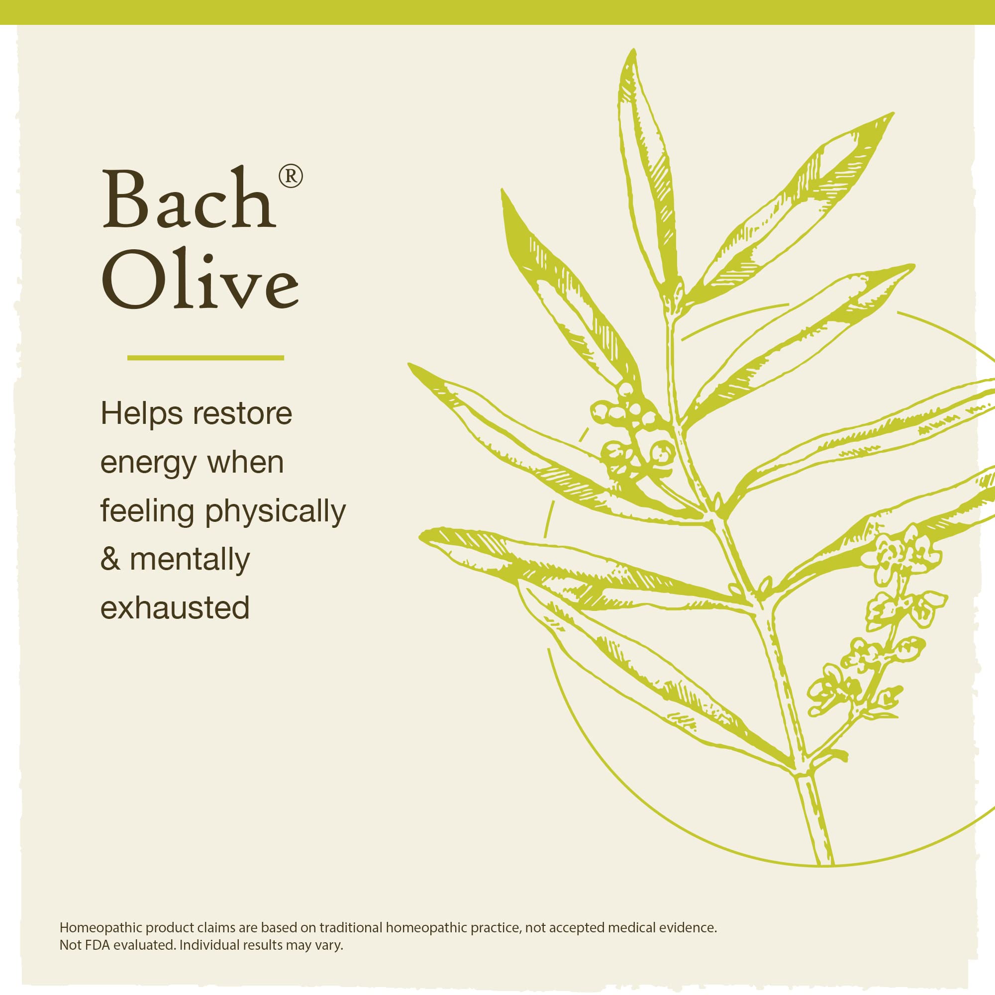 Bach Original Flower Remedies, Olive for Energy (Non-Alcohol Formula), Natural Homeopathic Flower Bach