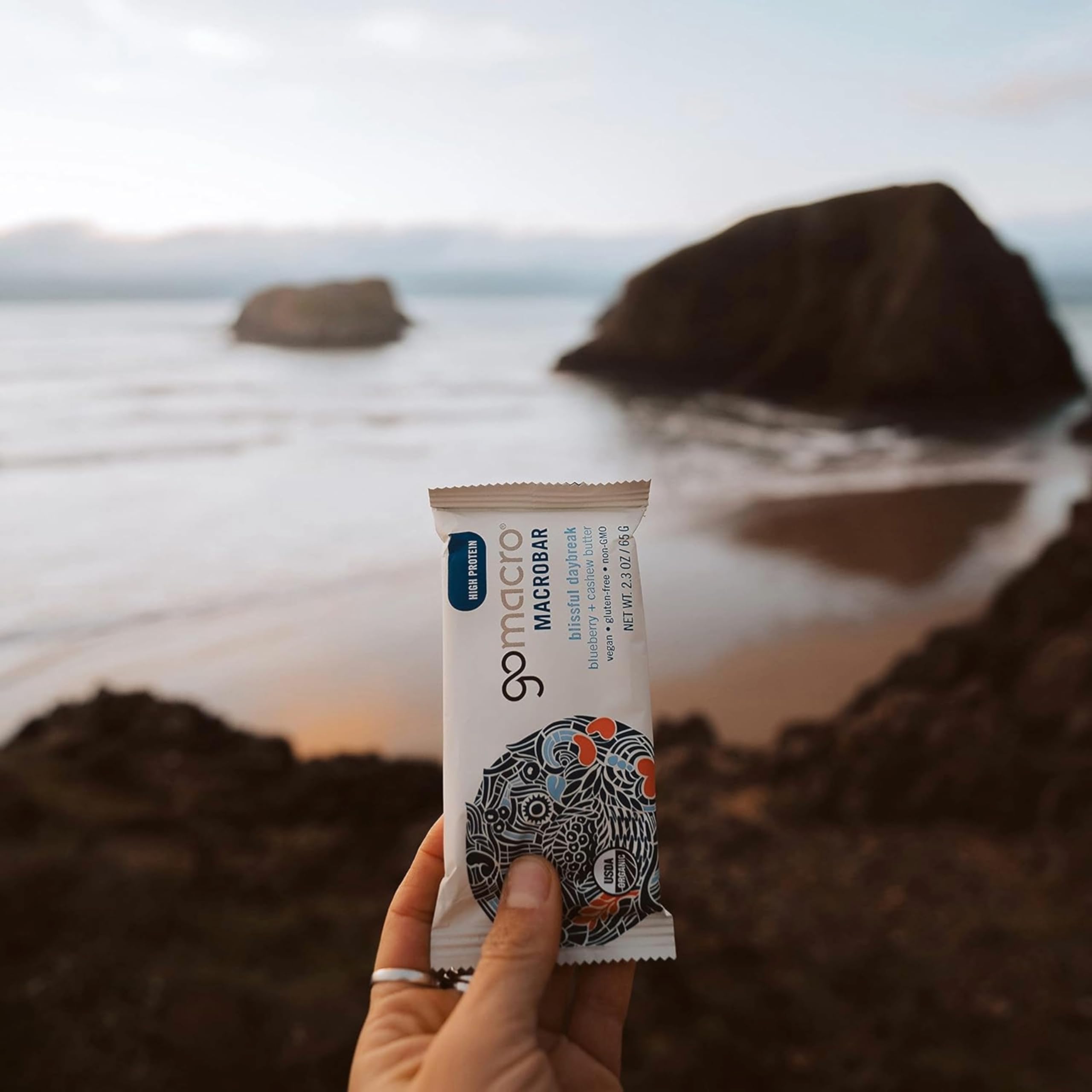 GoMacro Macrobar Organic Vegan Protein Bars - Blueberry + Cashew Butter , 2.3 Ounce GoMacro