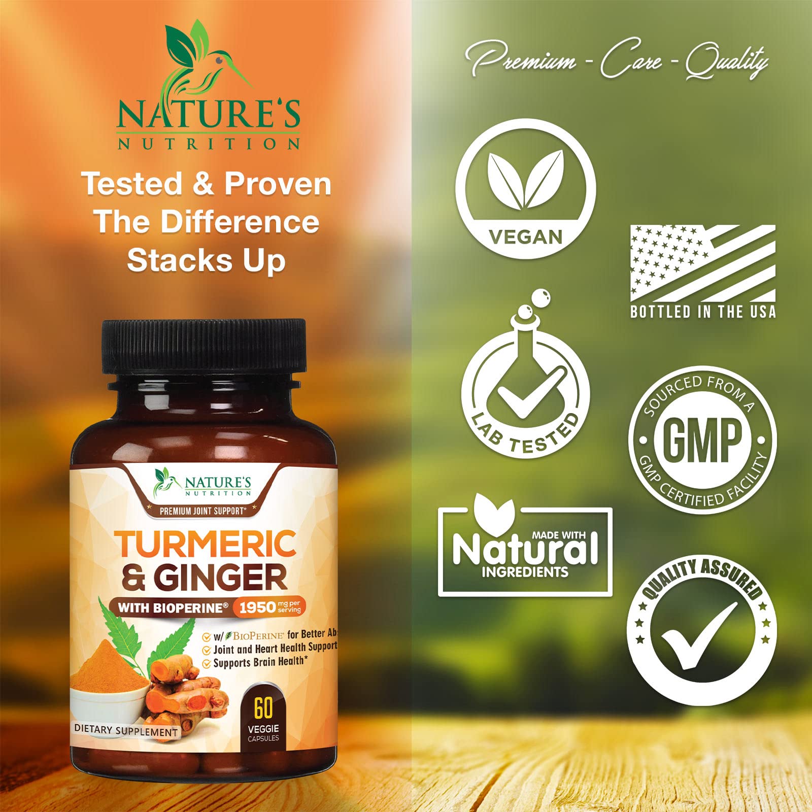 Turmeric Curcumin with BioPerine & Ginger 95% Standardized Curcuminoids
