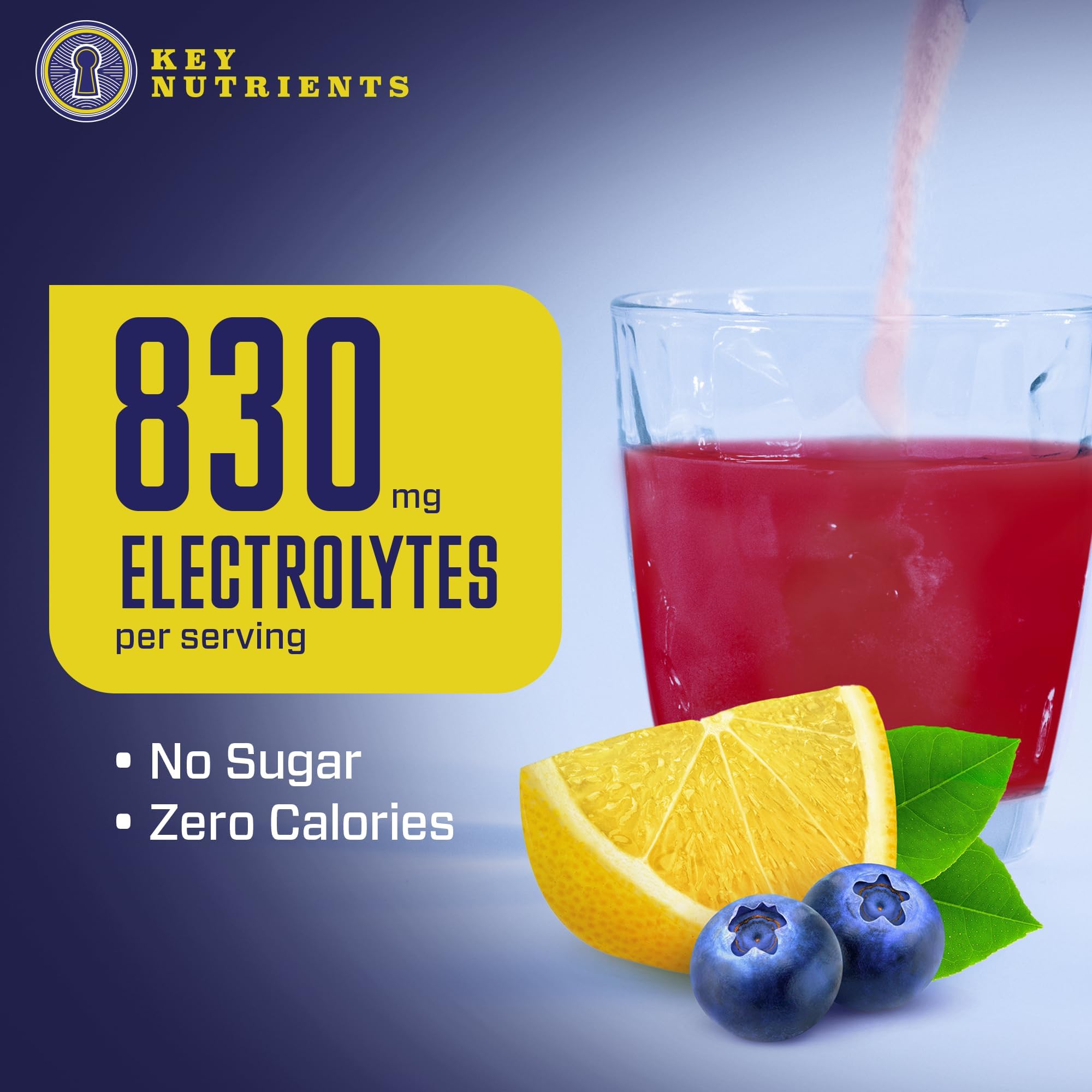 KEY NUTRIENTS Multivitamin Electrolytes Powder No Sugar - Fresh Blueberry Lemonade KEY NUTRIENTS