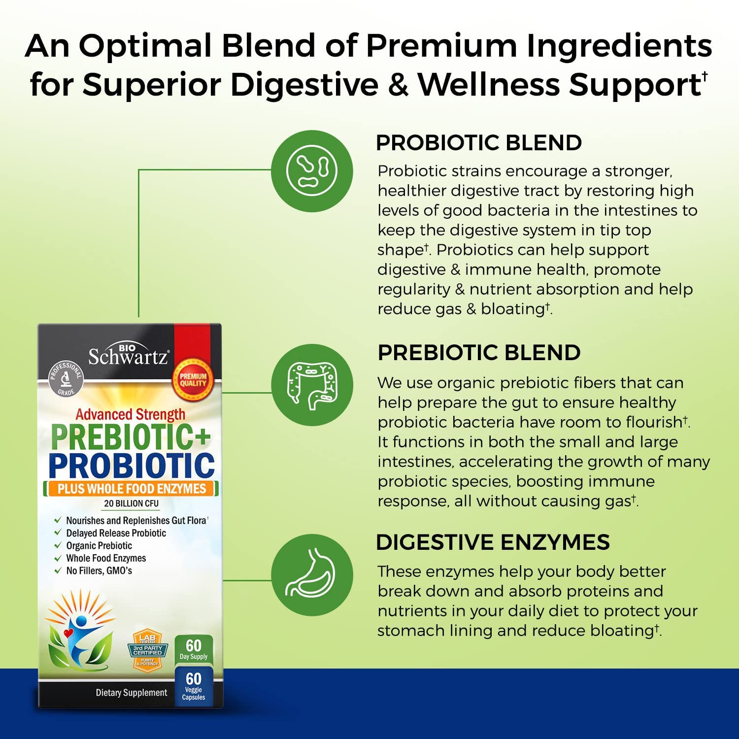 Prebiotics and Probiotic with Whole Food Enzymes for Adults Women & Men BioSchwartz