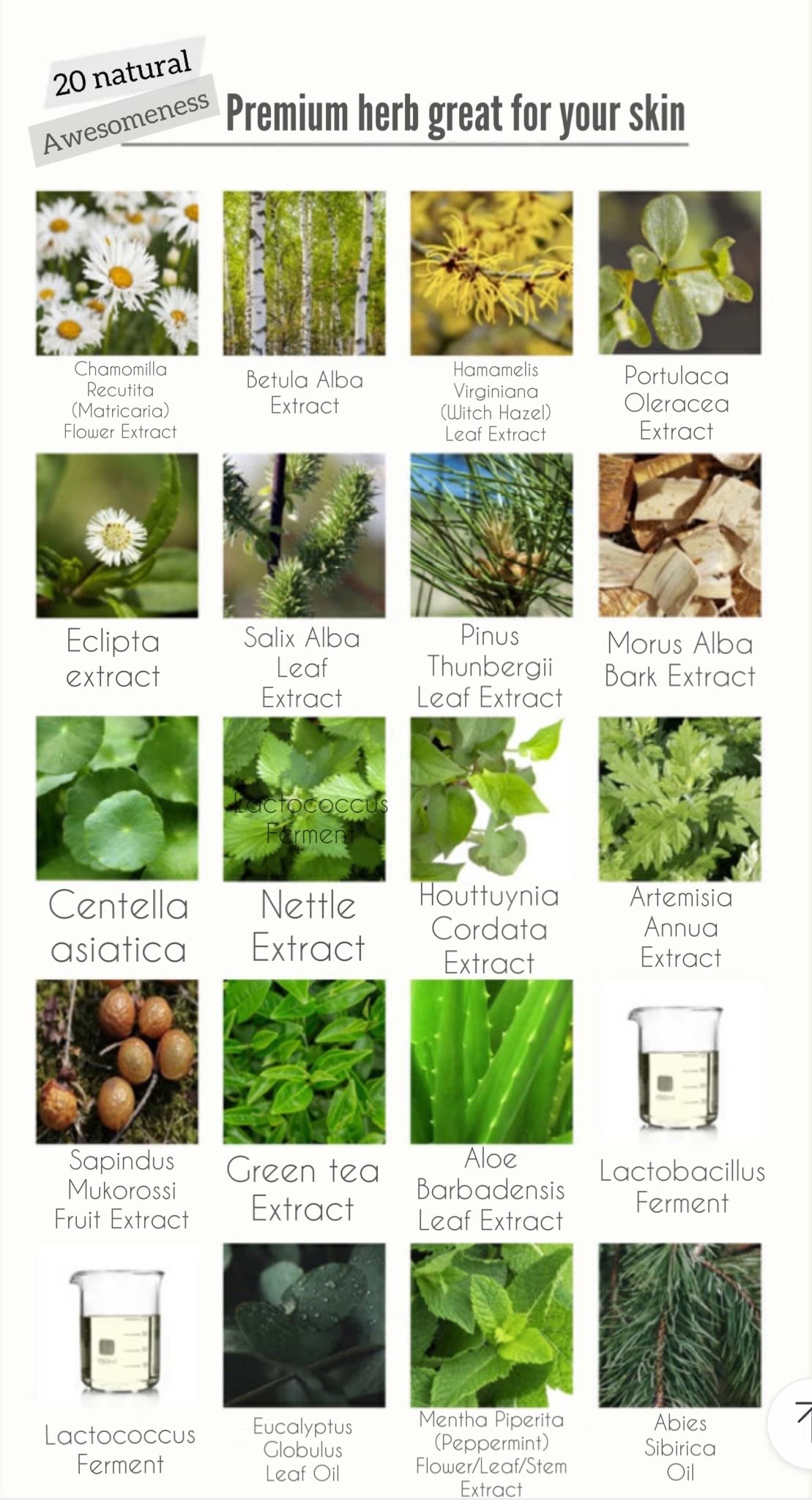 DHI PROBIOTIC Certain Intimate Wash for Men with 3 kinds of probiotics plus 20 Premium Natural DHI