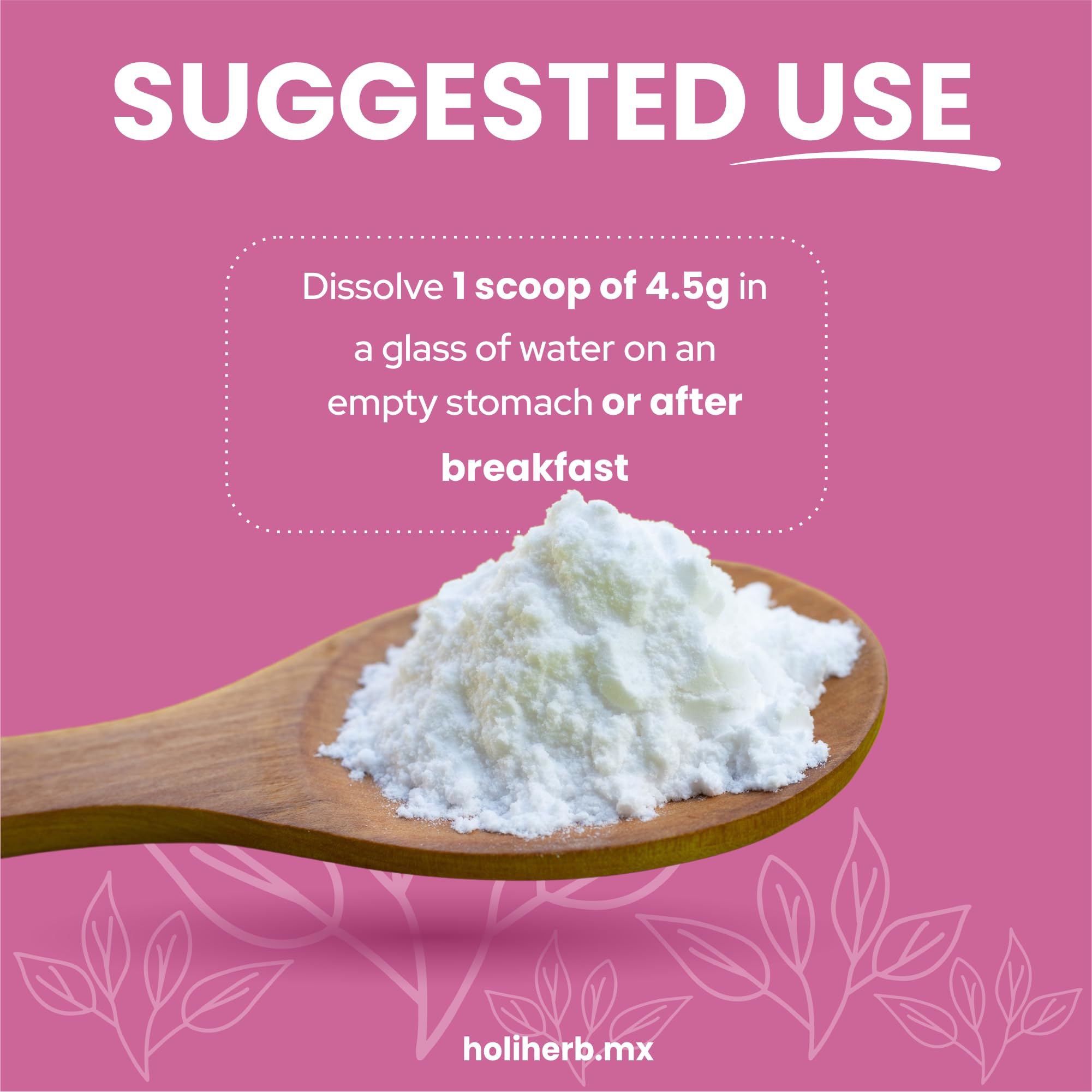 Holiherb 4g Myo Inositol + Folic Acid Holiherb