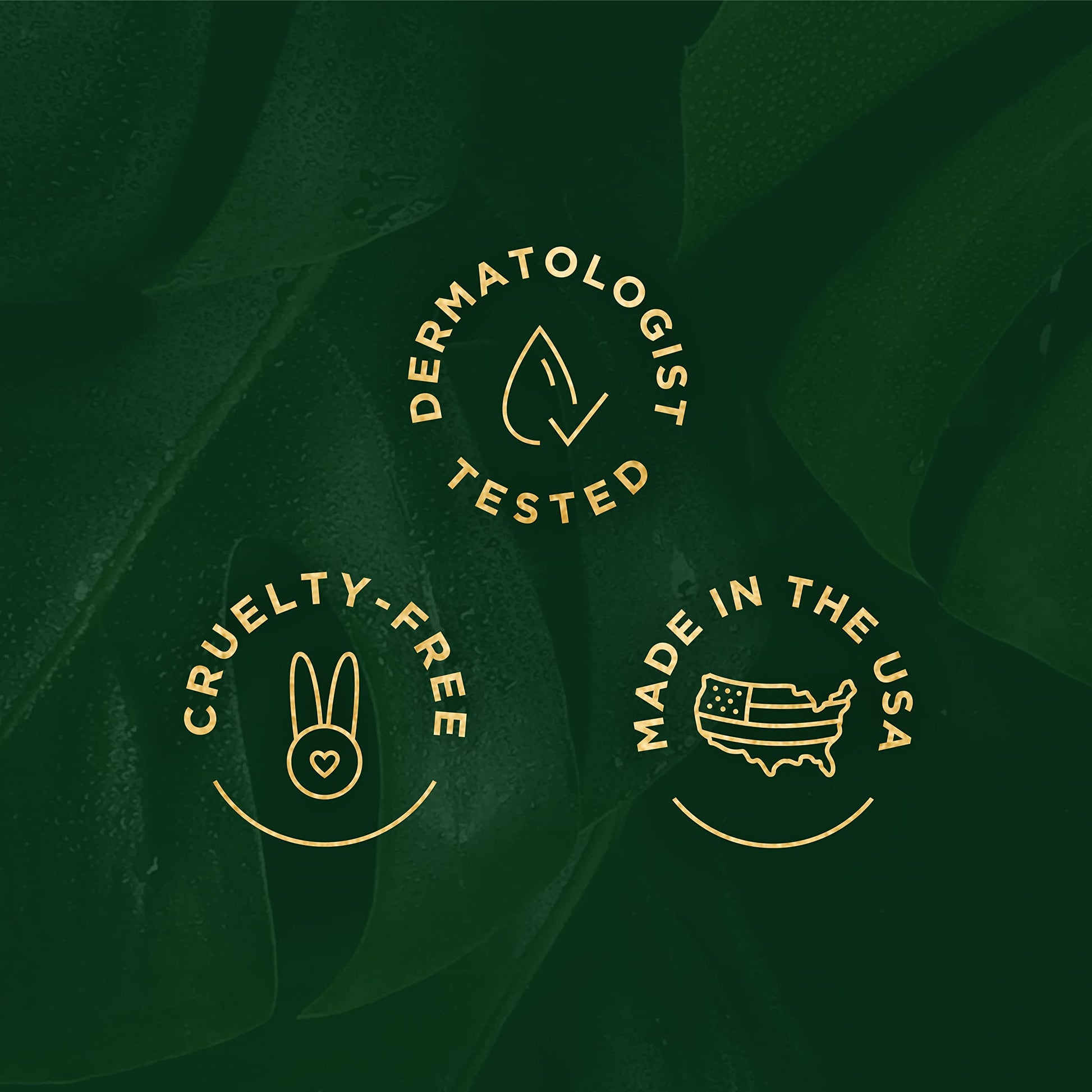 Tree of Life Retinol Serum & Tea Tree Serum for Face - Skin Care Duo Tree of Life Beauty