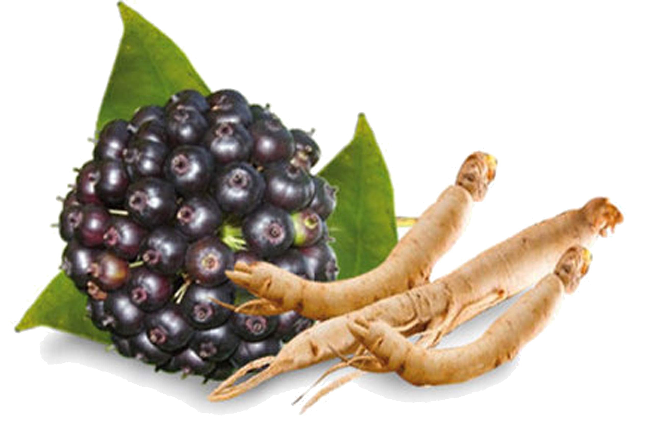 herbal tea for menopause - caffeine free - Hormonal Balance + Hot Flashes – 28 Days MENOPAUSE