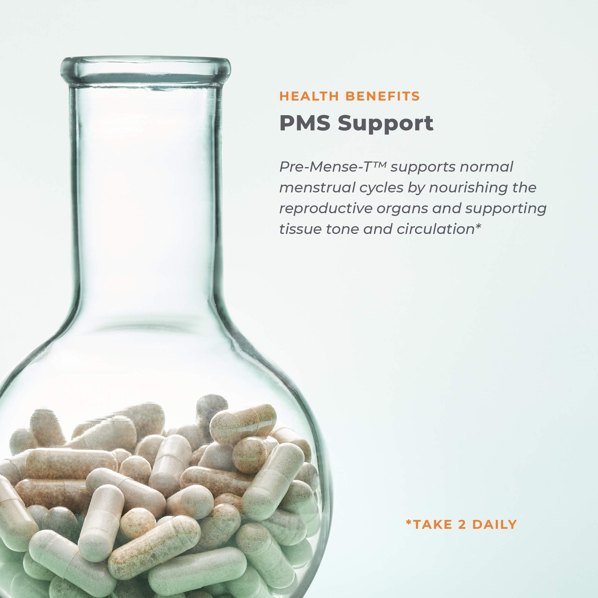 PreMense-T - PMS Relief Supplement - Ginger, Cramp Bark, Black Cohosh, Dong Quai, Chasteberry & Vitamin B6 LifeSeasons