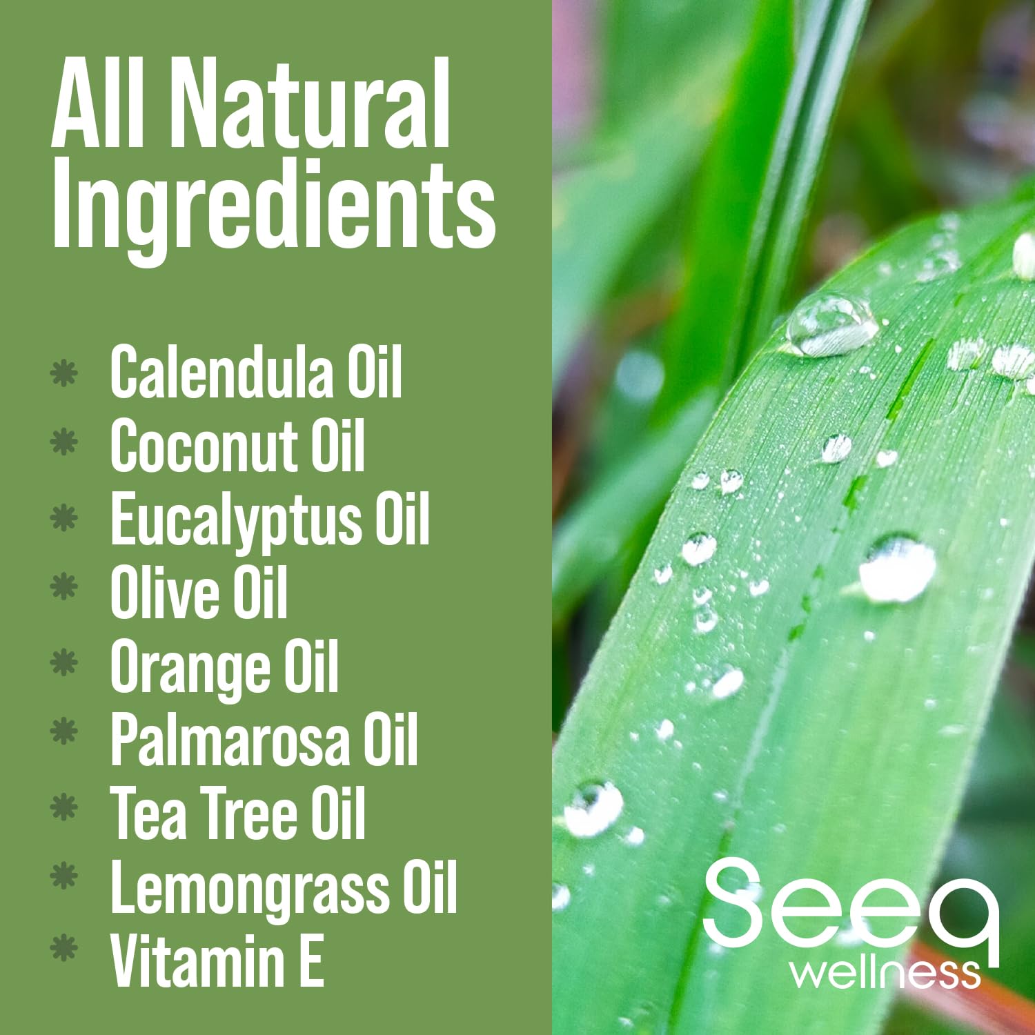 All Natural Feminine Deodorant Spray - for Vaginal Itch, Irritation & Odor - Feminine Hygiene Spray Seeq Wellness