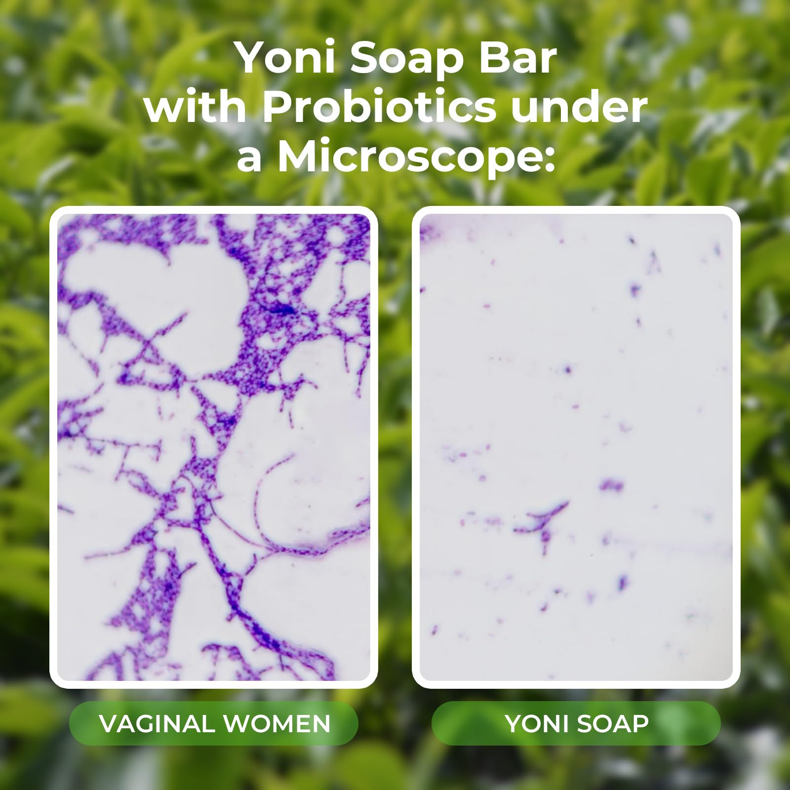 Feminine Wash & Yoni Oil & Yoni Soap Tea Tree Set for Women, Yoni Wash for Vaginal Ph Balance Remove BASSI