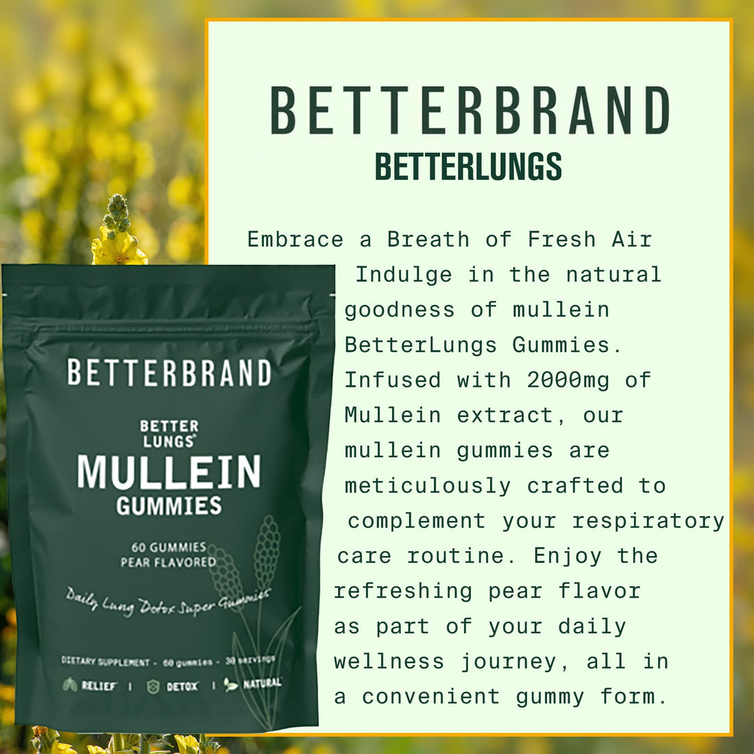 Betterbrand BetterLungs - Daily Respiratory Health Gummies | 1000mg Mullein Leaf herb 