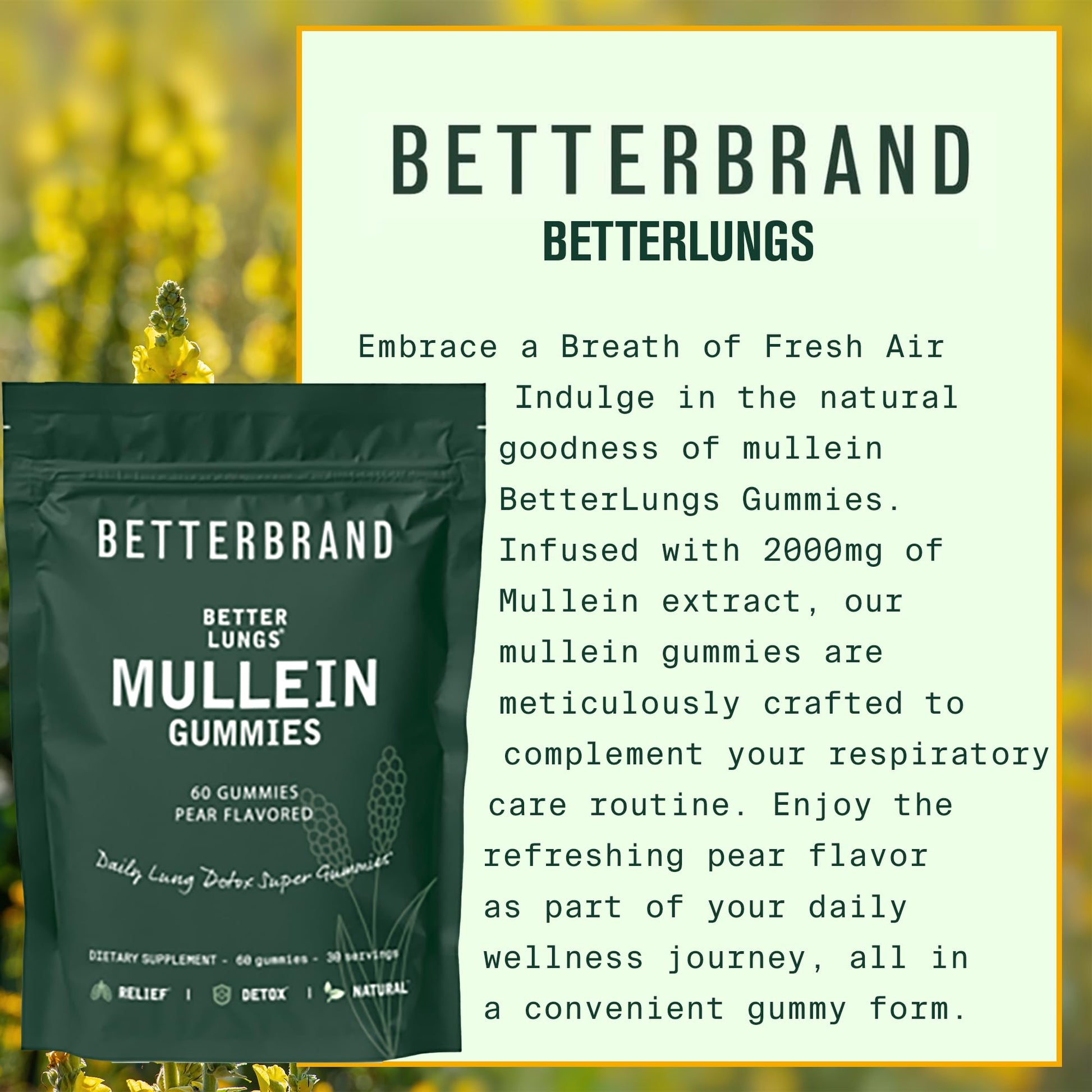 Betterbrand BetterLungs - Daily Respiratory Health Gummies | 1000mg Mullein Leaf herb Betterbrand