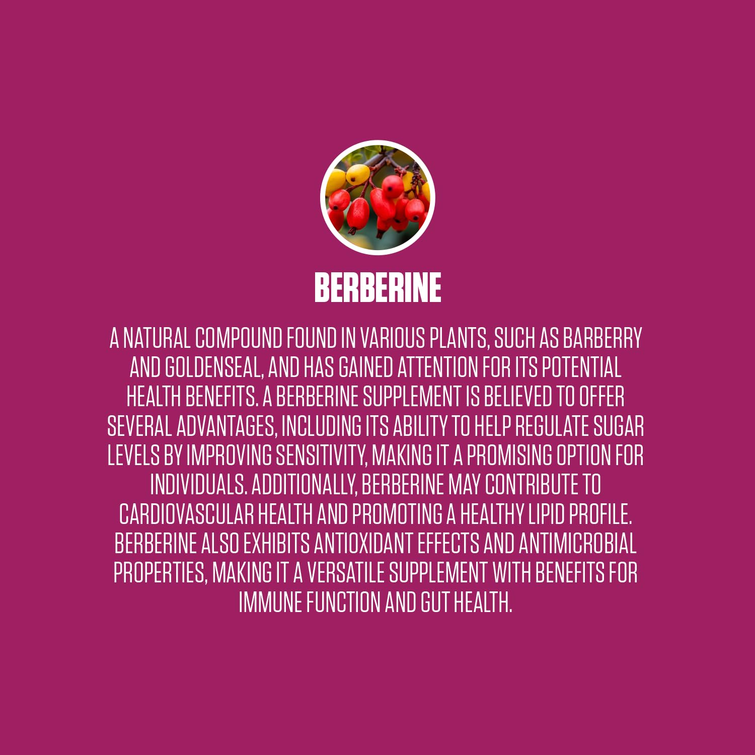Berberine Extra Strength | #1 Rated Berberine Supplement for Heart Health, Improve Energy EPN Supplements