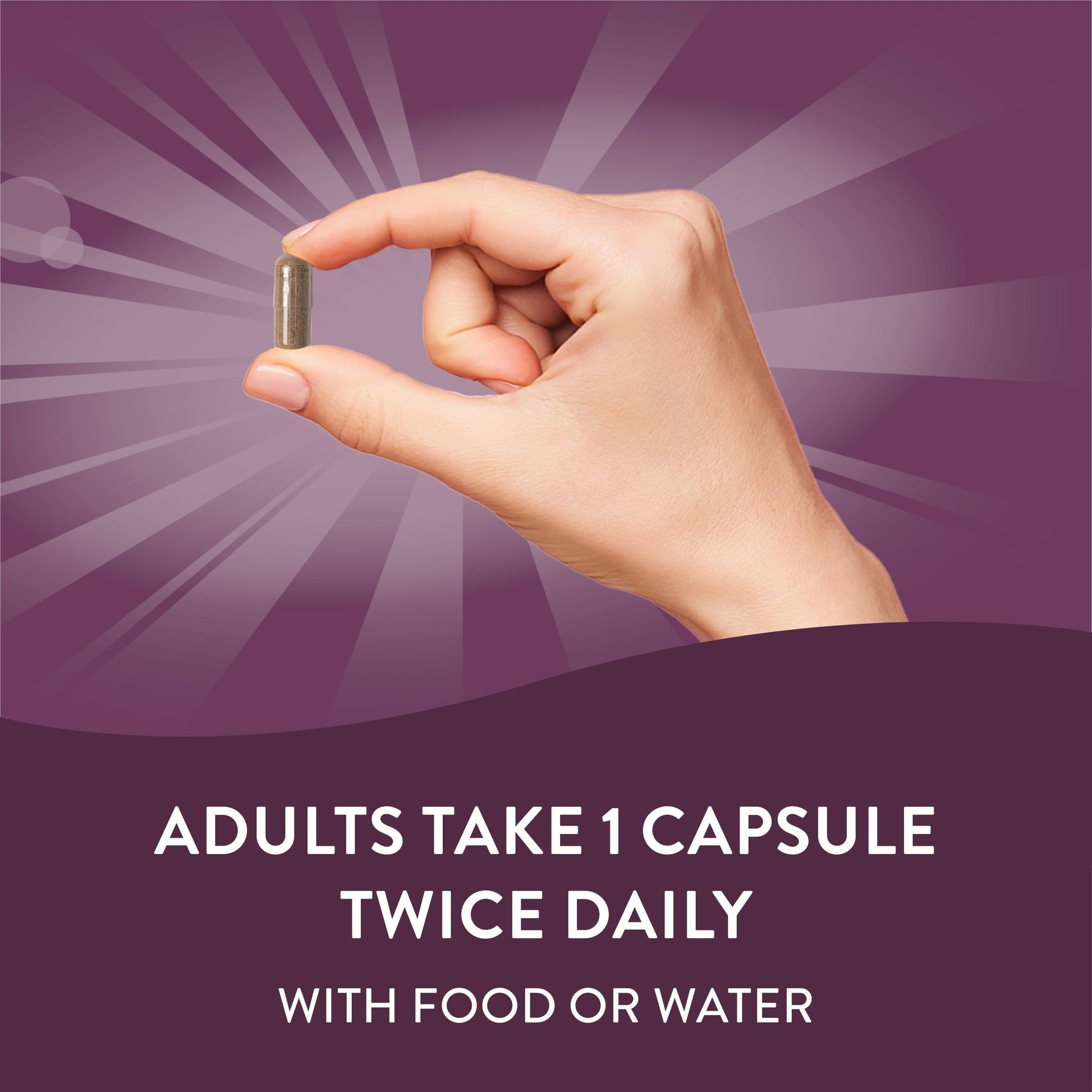 Nature's Way Standardized Horse Chestnut, Premium Extract for Healthy Veins and Blood Nature's Way