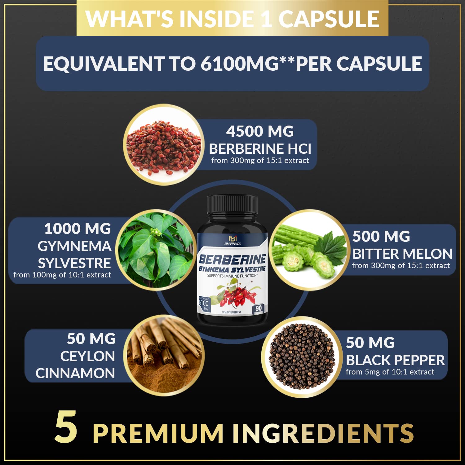 BMVINVOL 5-in-1 Berberine Supplement 6100mg with Ceylon Cinnamon, Gymnema BMVINVOL