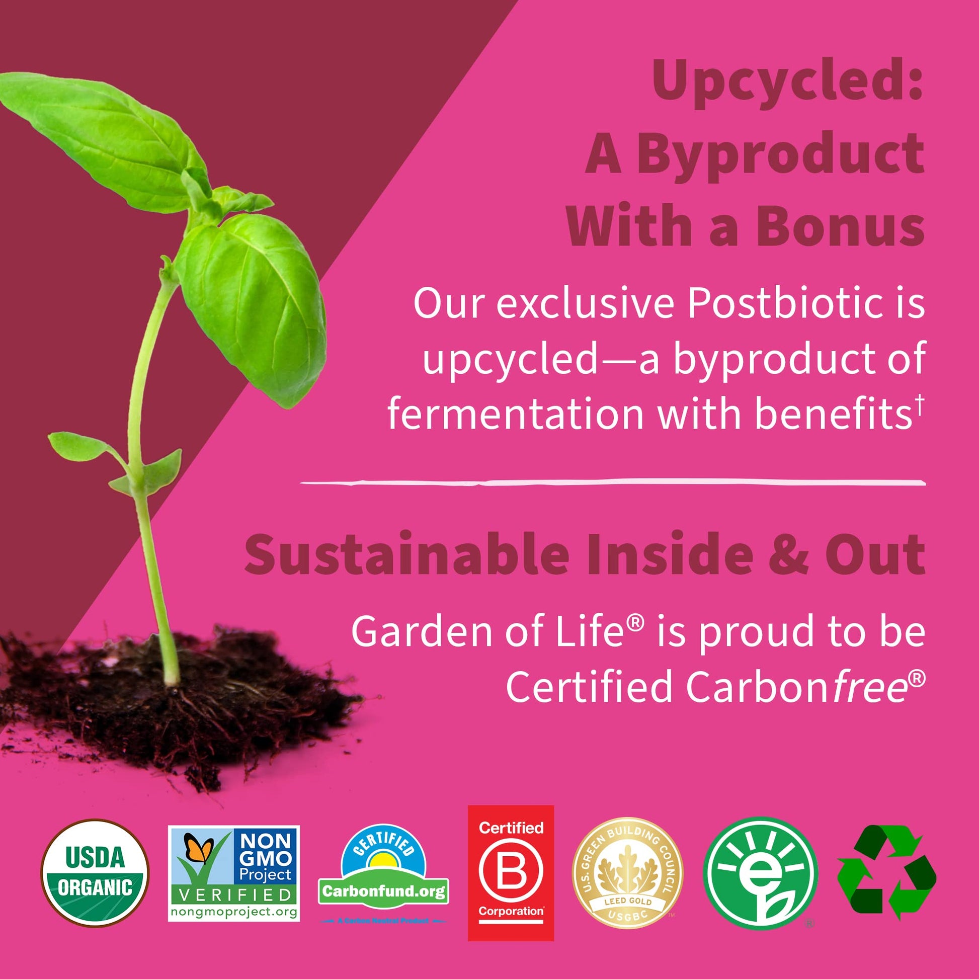 Garden of Life Dr Formulated Once Daily 3-in-1 Complete Prebiotics, Postbiotics Garden of Life