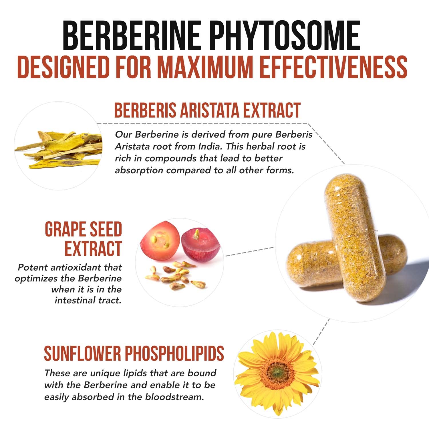 SoActive Berberine 550mg: 9.6X Higher Absorption, Clinically Proven Most Effective Triquetra Health