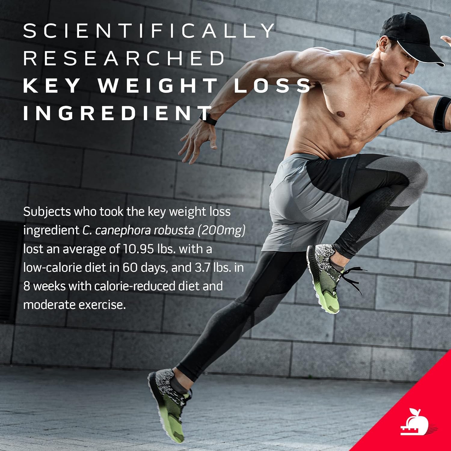 Protein Powder for Weight Loss |MuscleTech Nitro-Tech Ripped |Whey Protein Powder MuscleTech