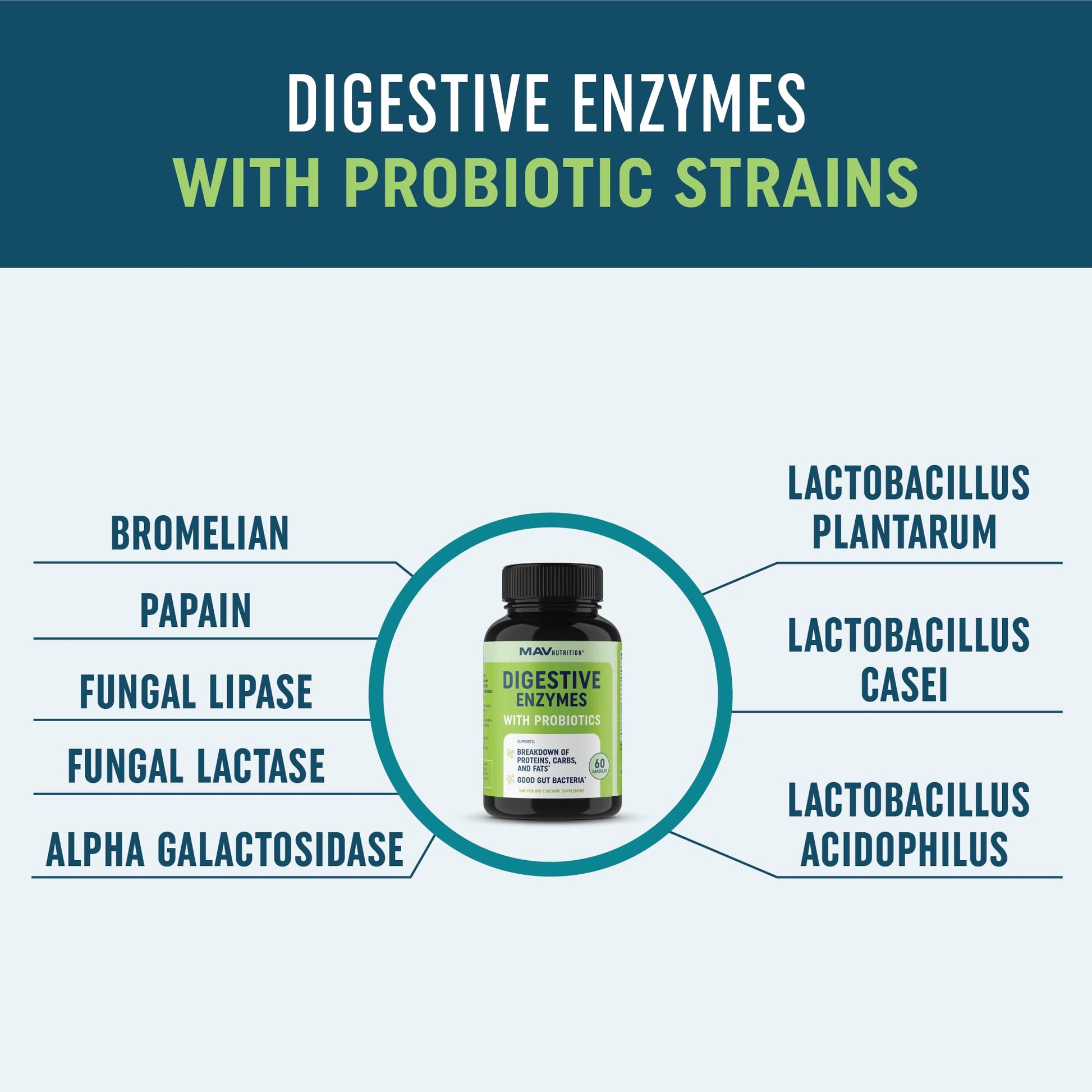 Digestive Enzymes with Probiotics for Bloating Relief & Digestive Health MAV NUTRITION